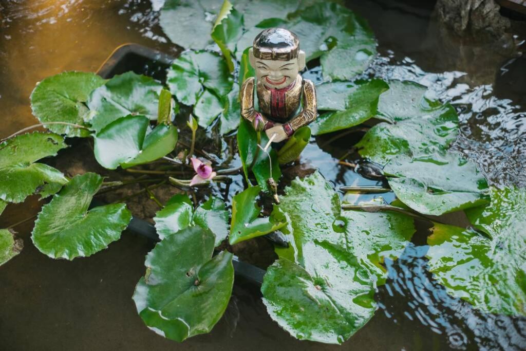 Homestay CHẤT - Pagoda View 2