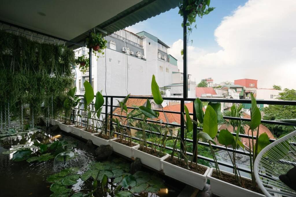 Homestay CHẤT - Pagoda View 2