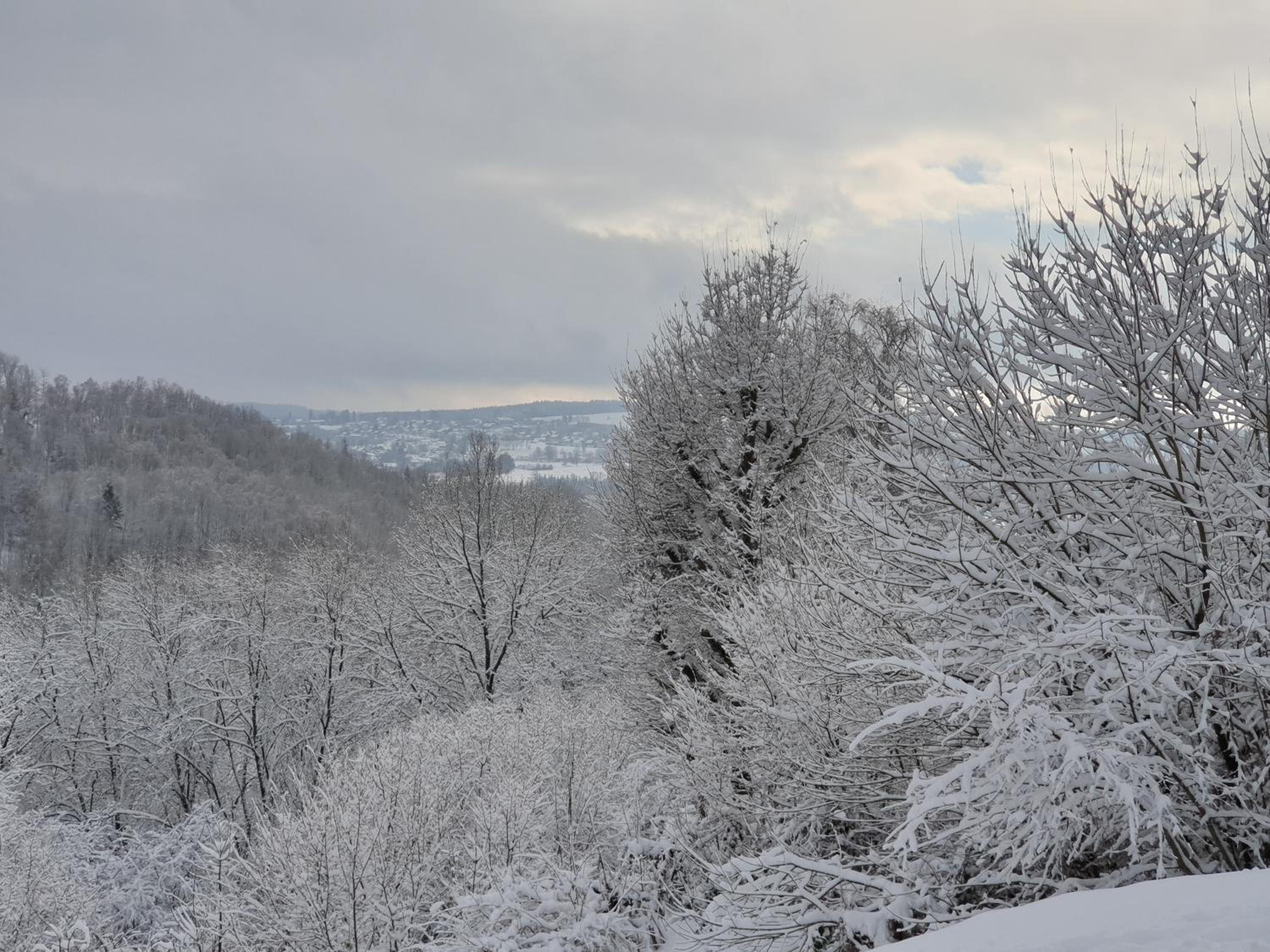 Les terrasses de Malmédy