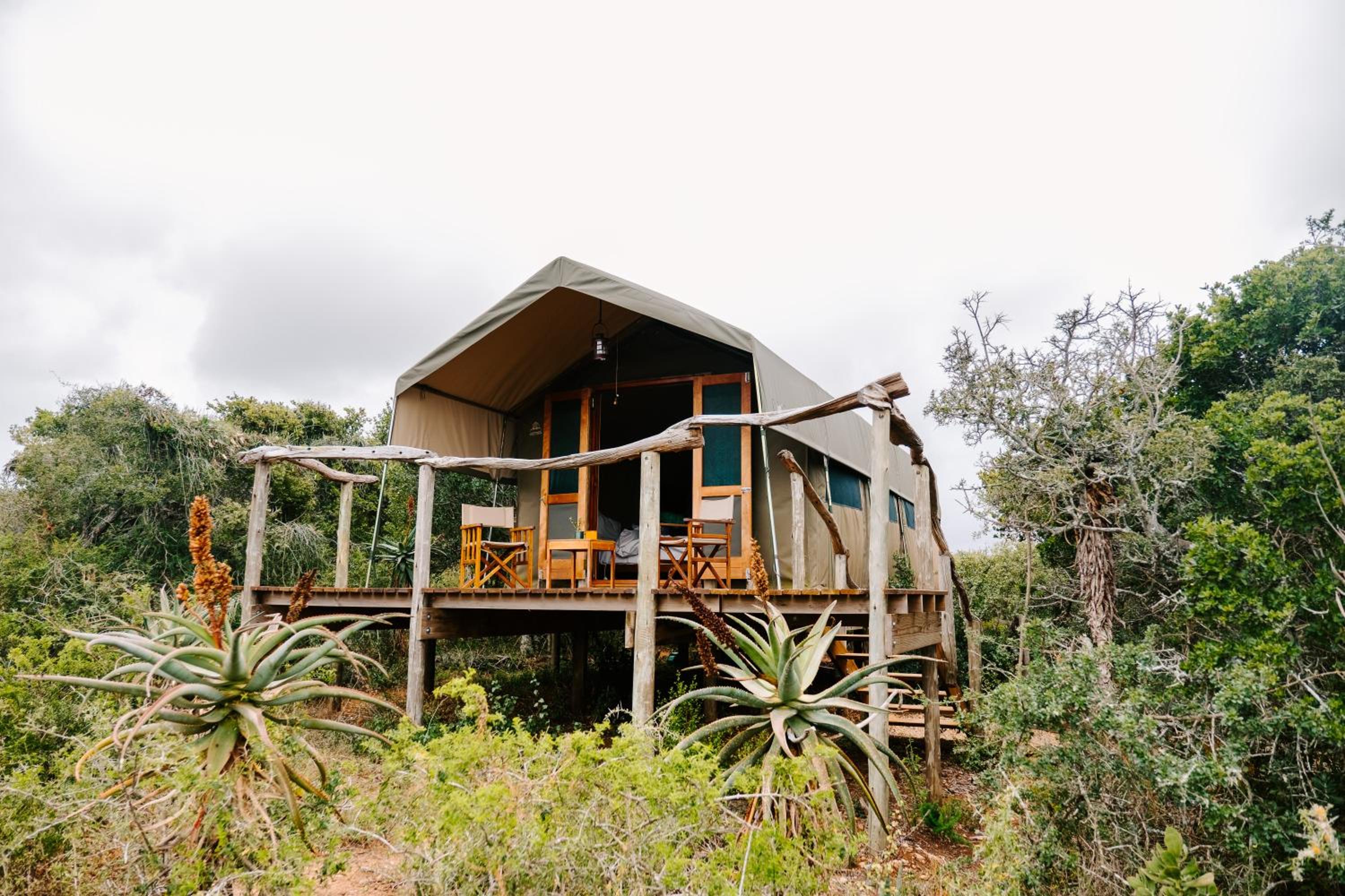Woodbury Tented Camp – Amakhala Game Reserve