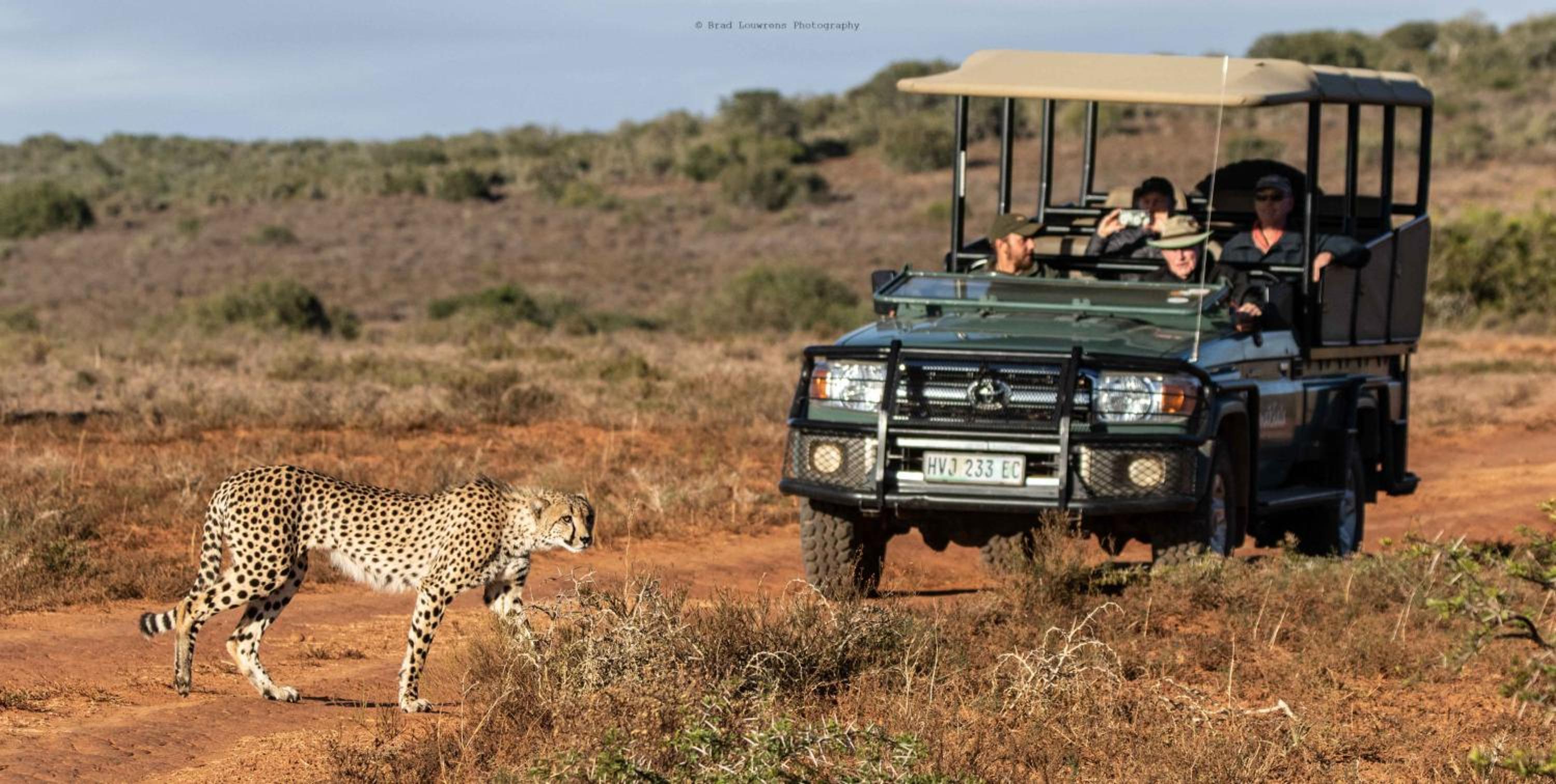 Woodbury Tented Camp – Amakhala Game Reserve