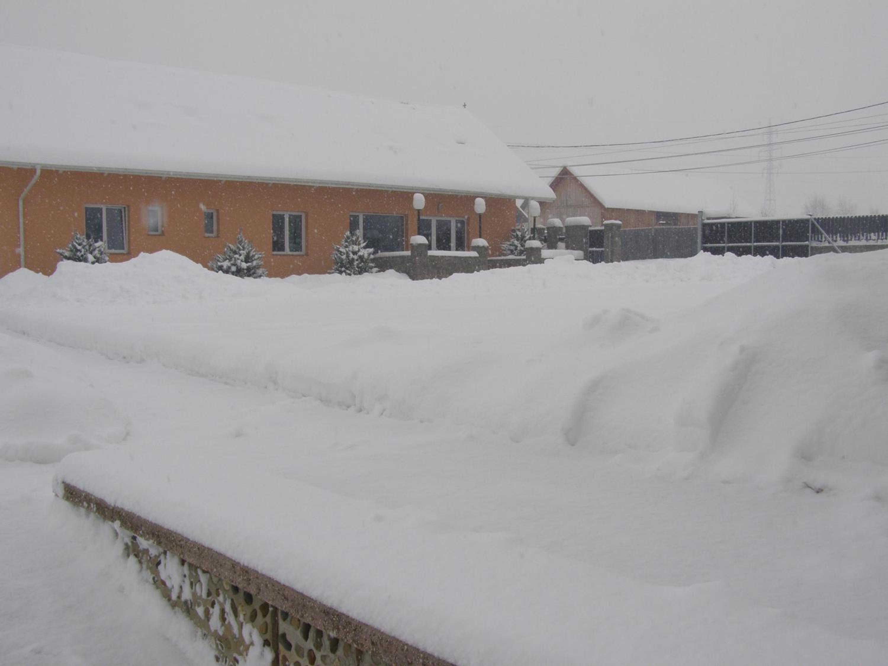 Photo 83