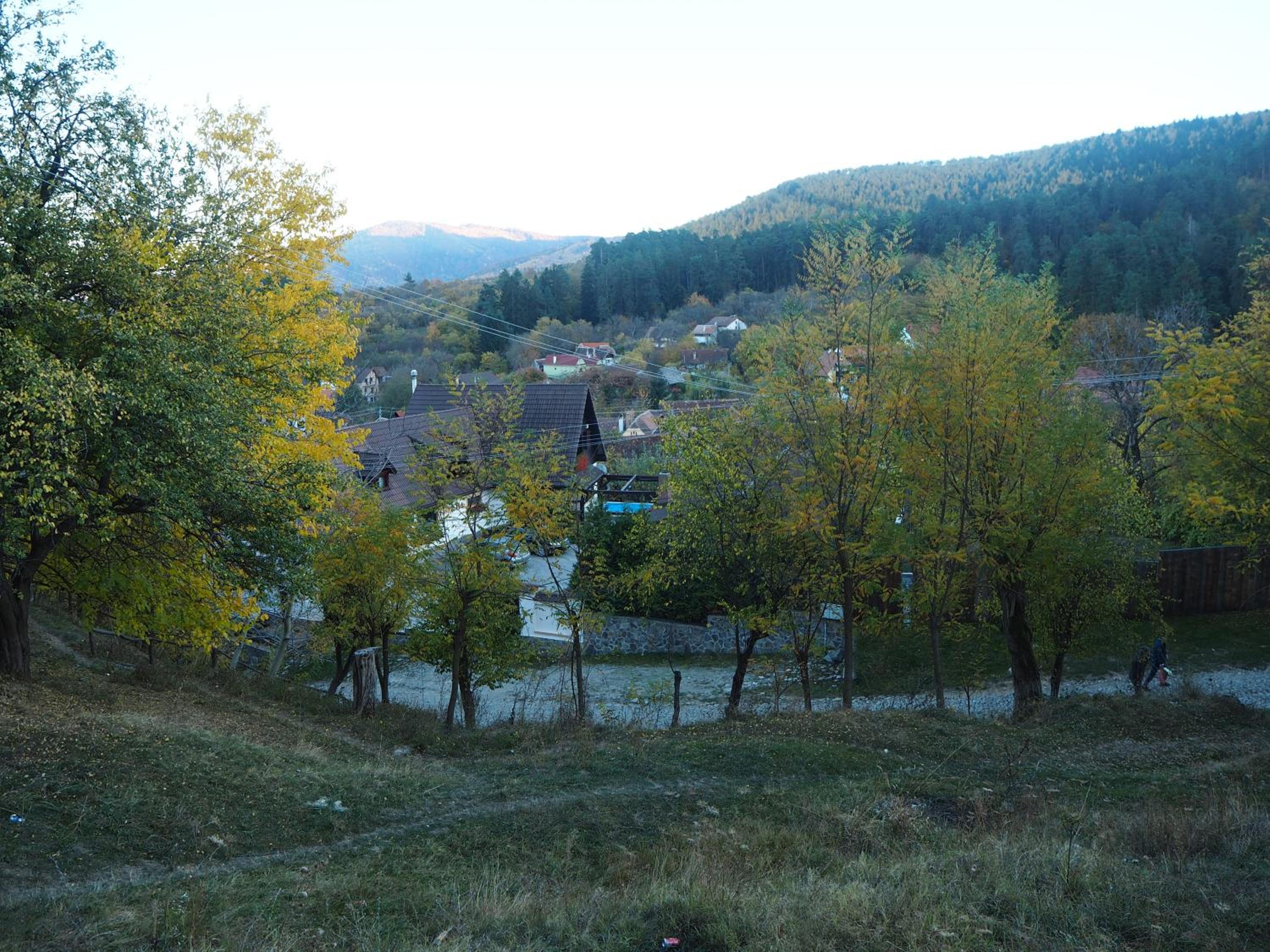 Photo 47