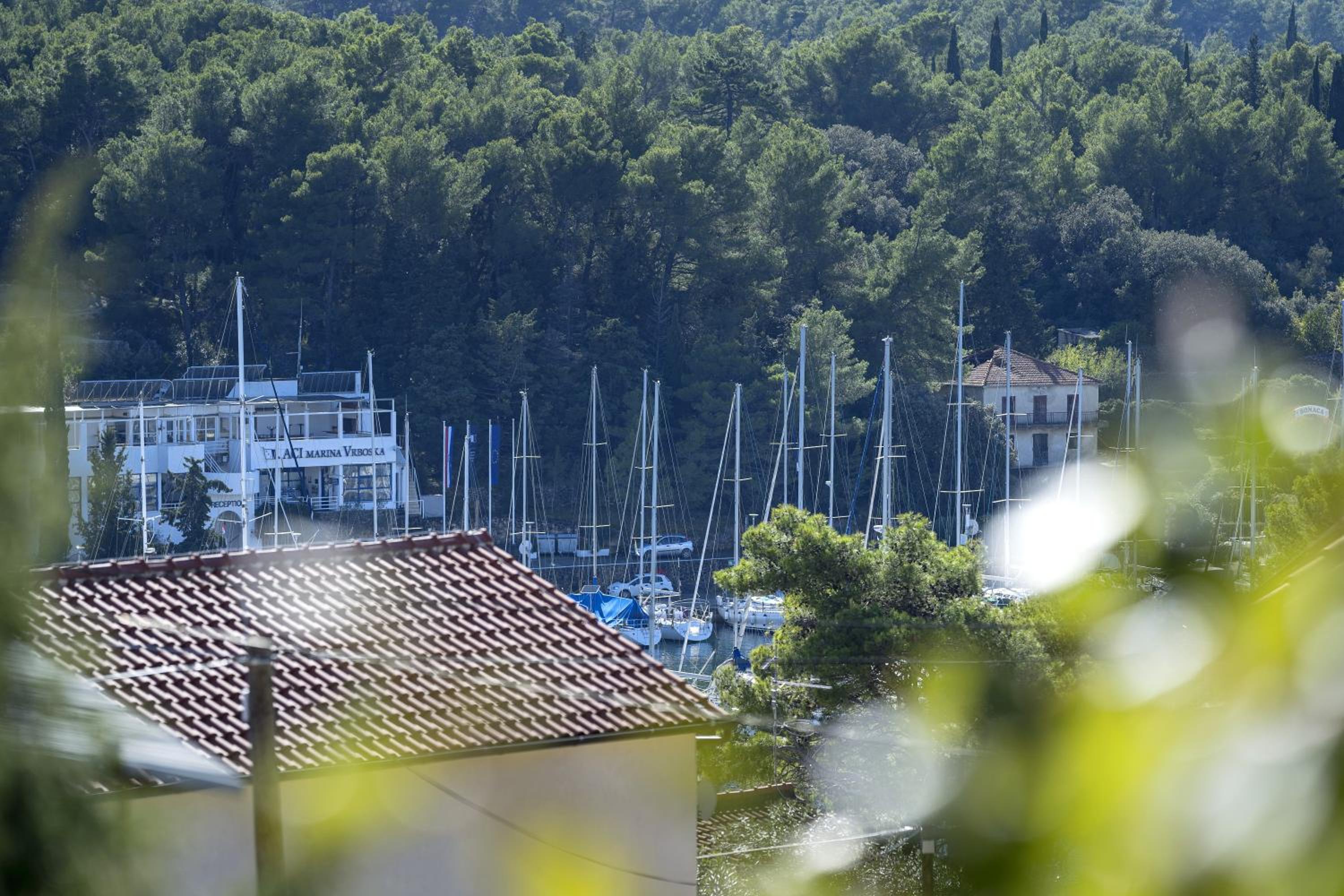 Apartment Katarina Vrboska - main view