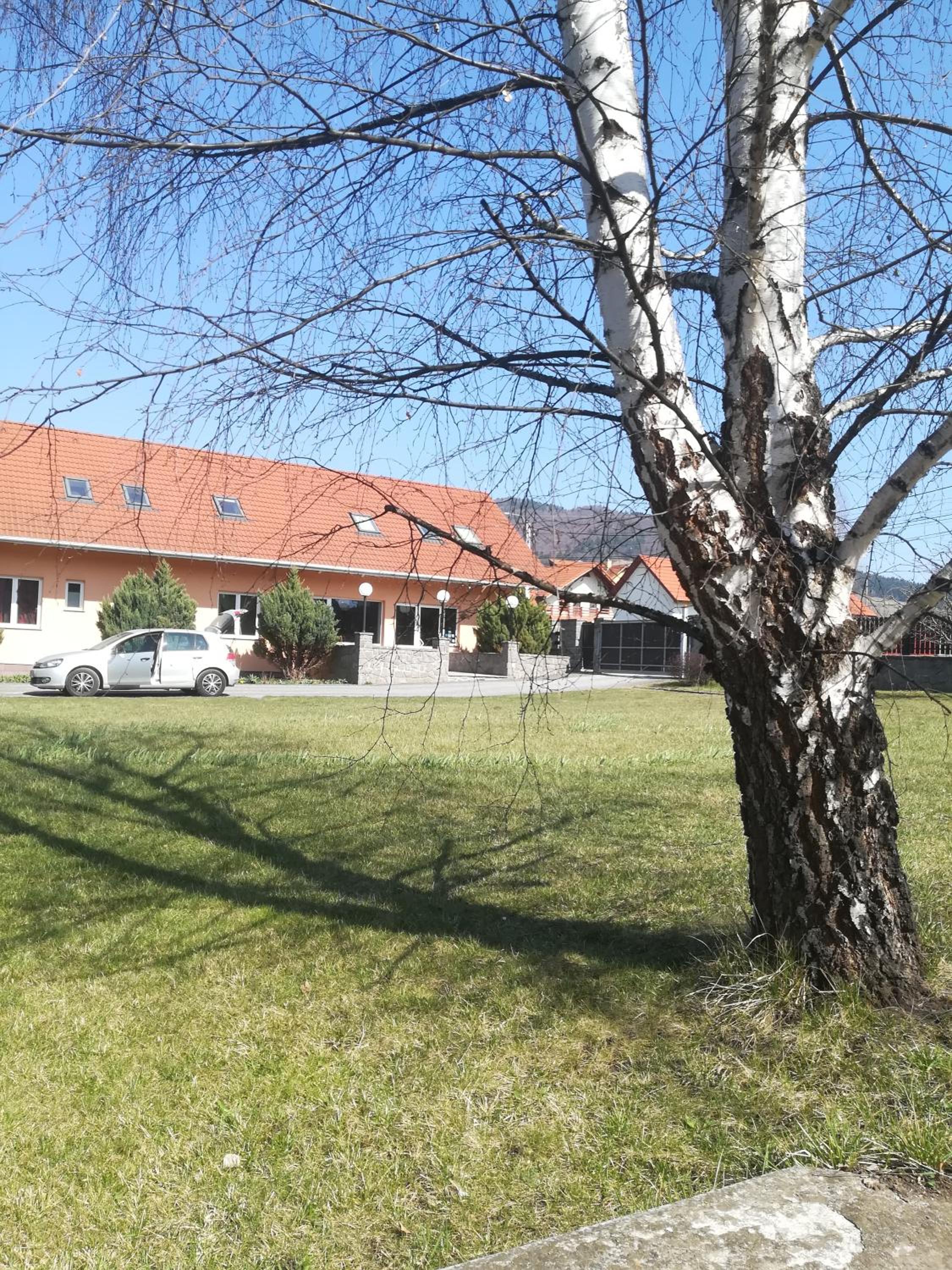 Photo 52