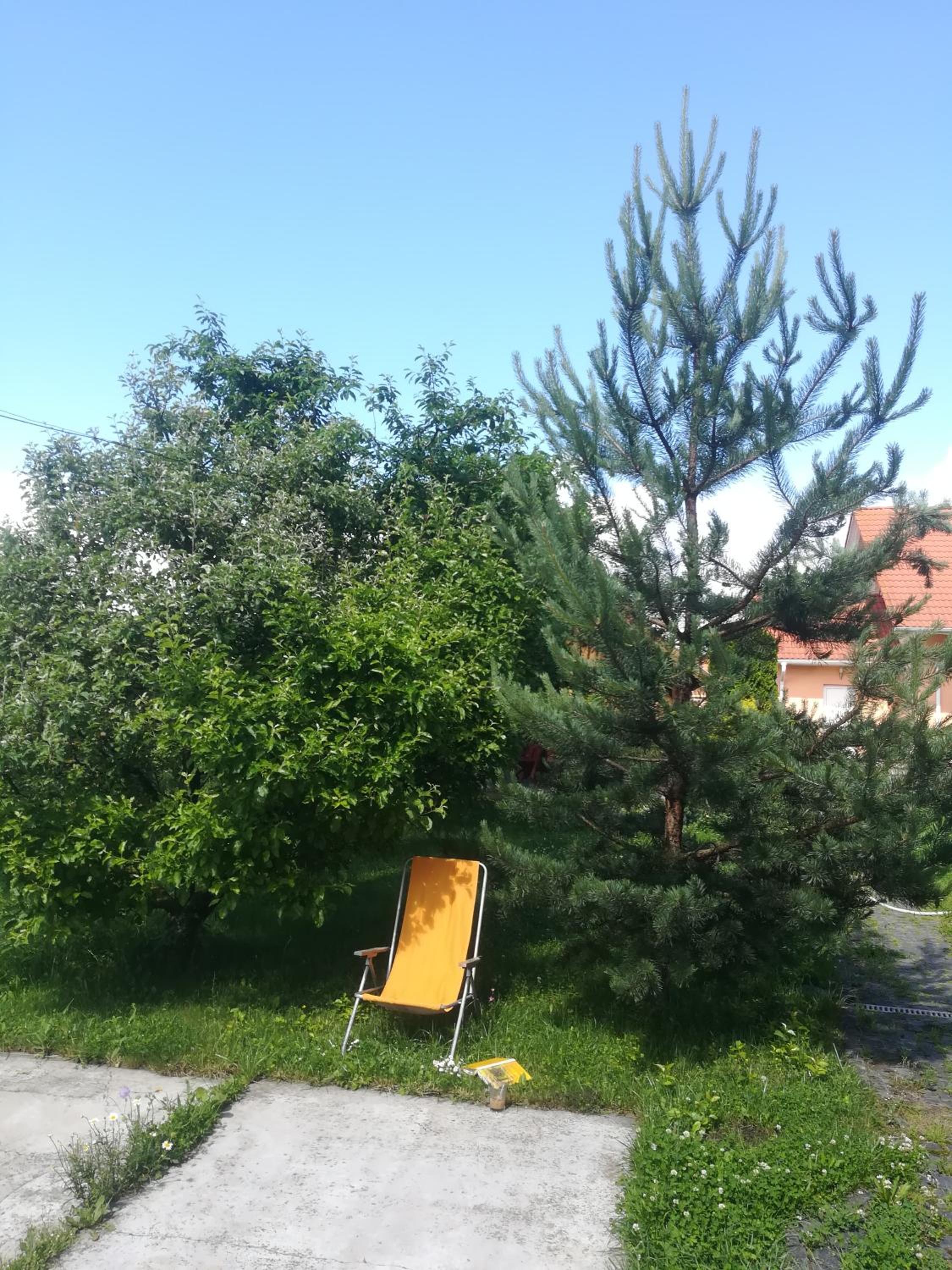 Photo 42