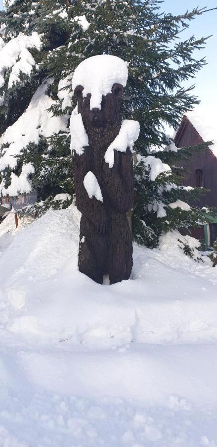 PENZION HARRY na sjezdovce KRKONOŠE
