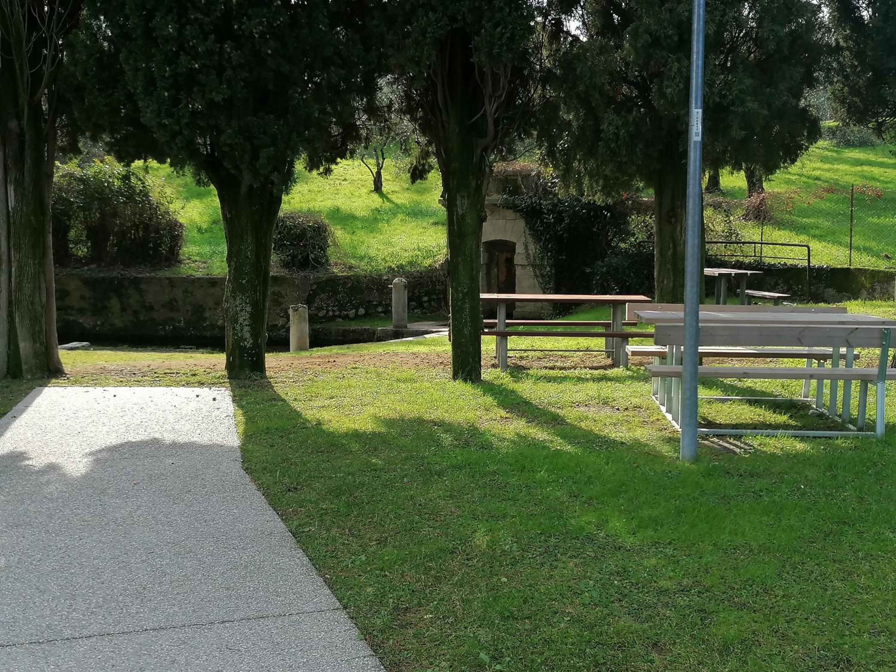 Photo 49