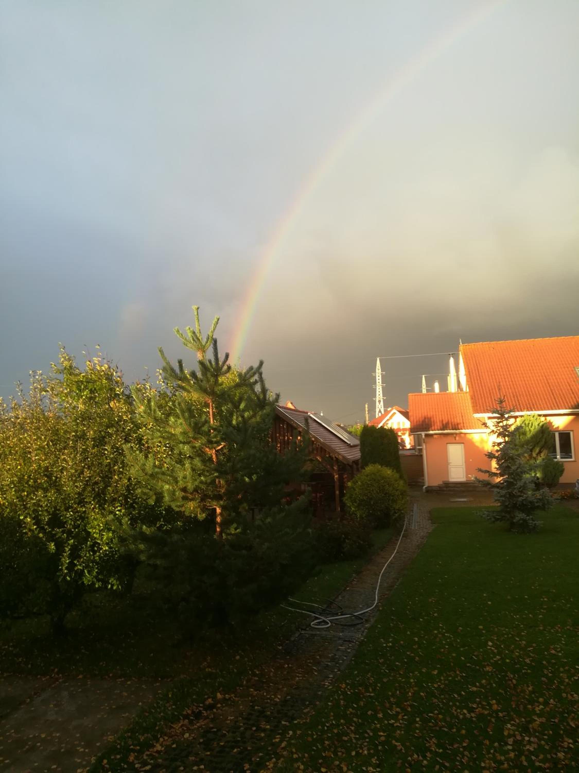 Photo 37