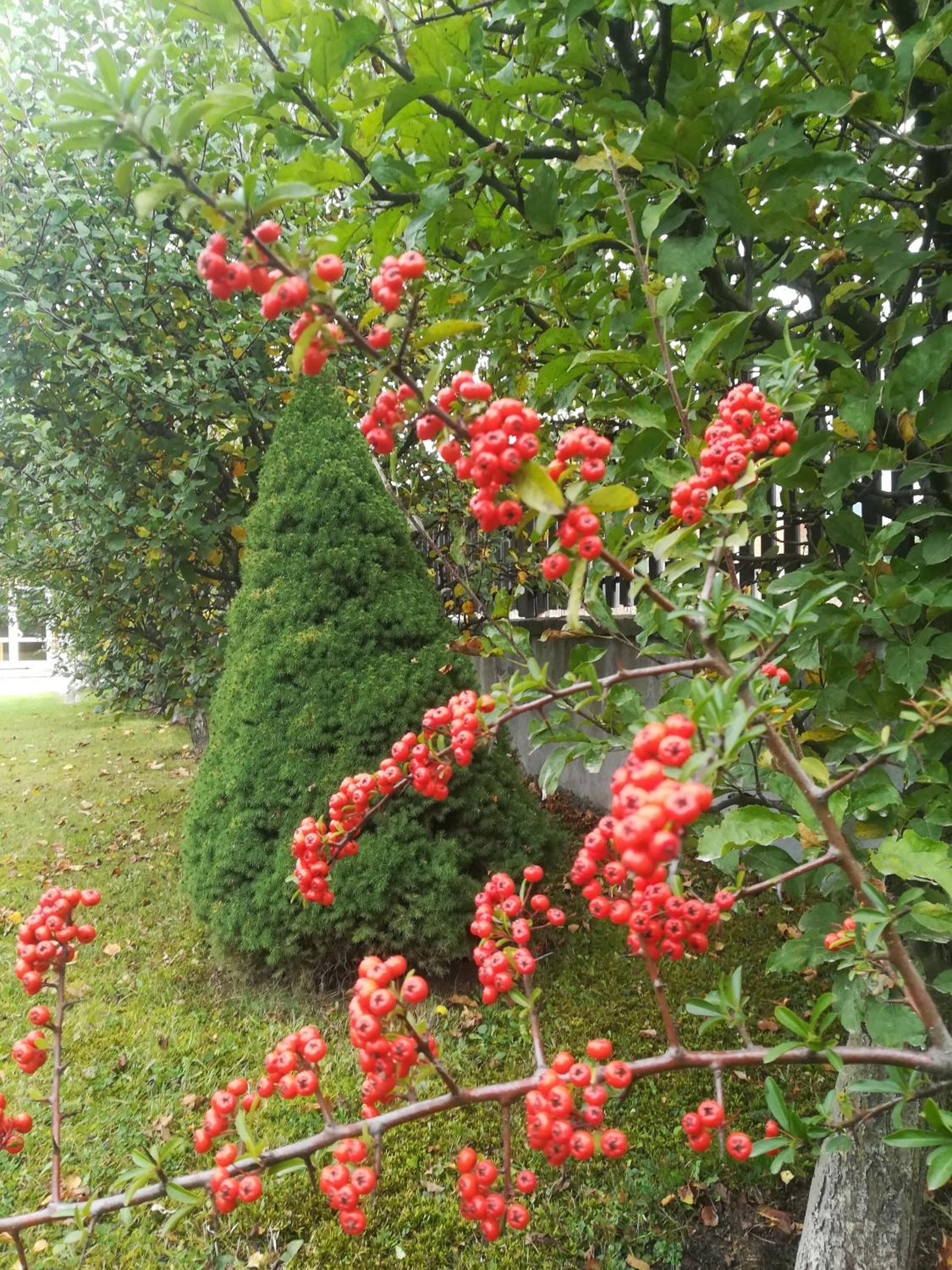 Photo 25