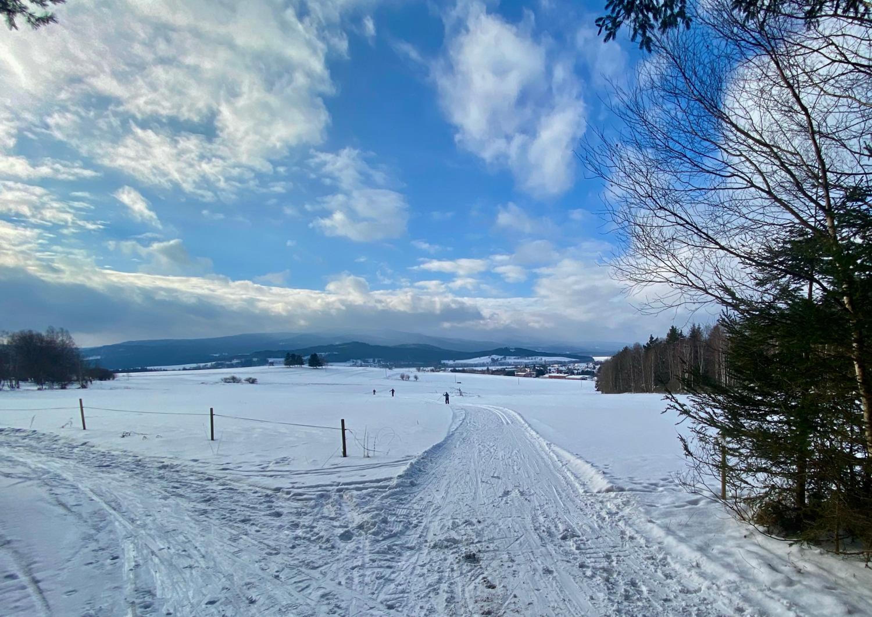 Photo 78