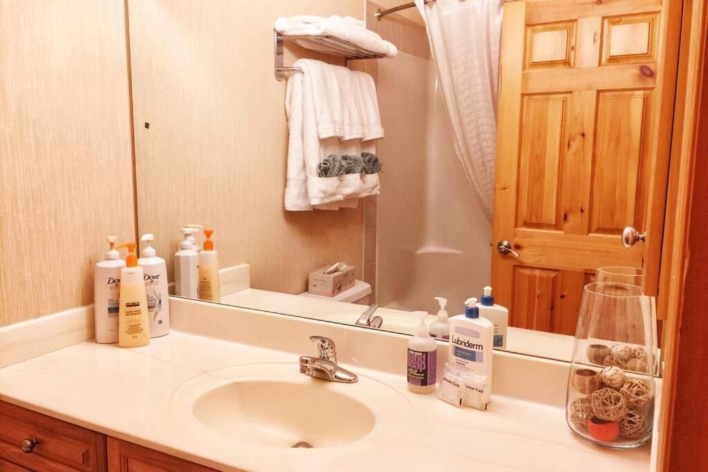 MountainView -PrivateChalet Sleep7- 5min to DT Vacation Home