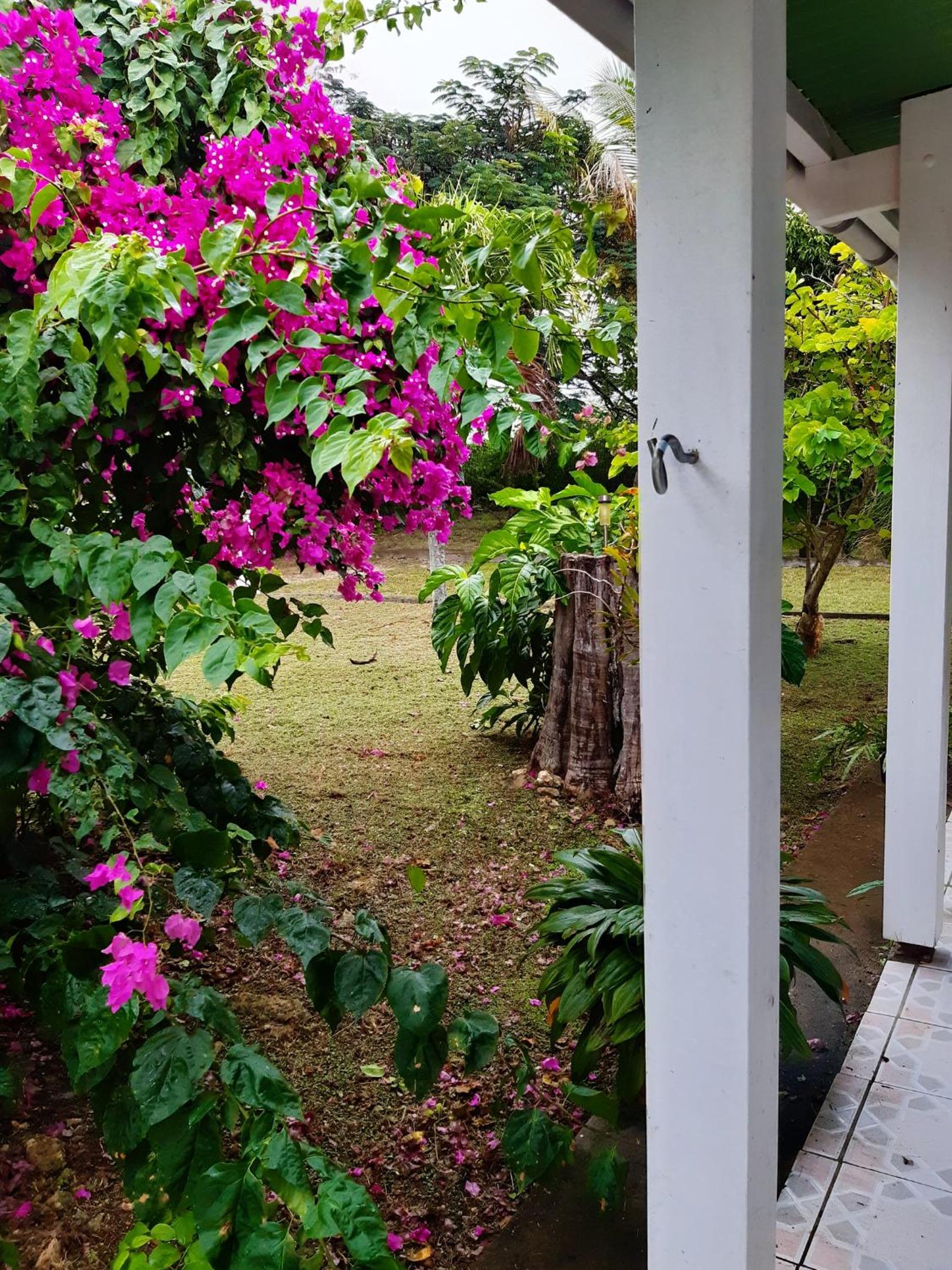 Maison charmante a Saint Francois + Jardin view 4
