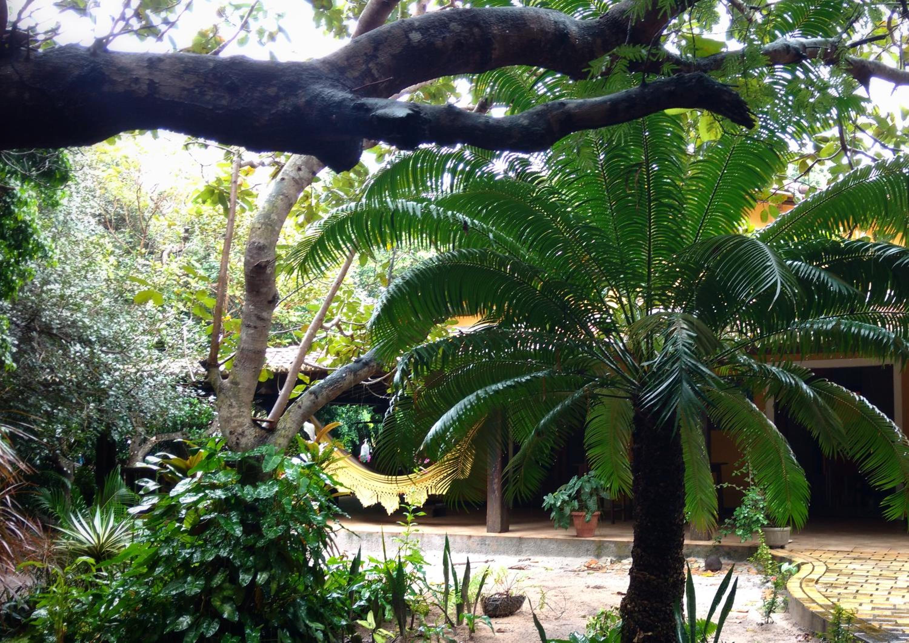 Casa Cajueiro em Pipa