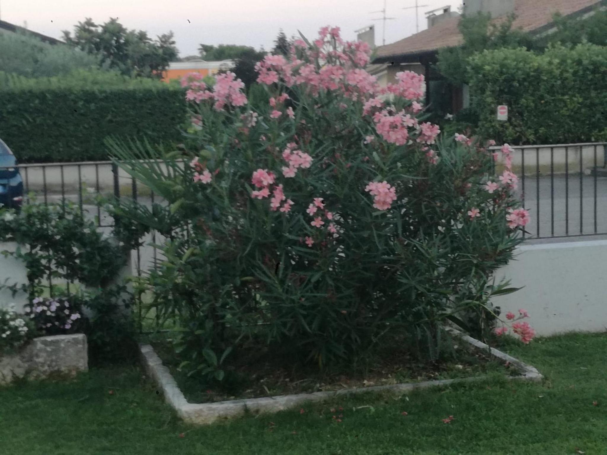 Photo 33