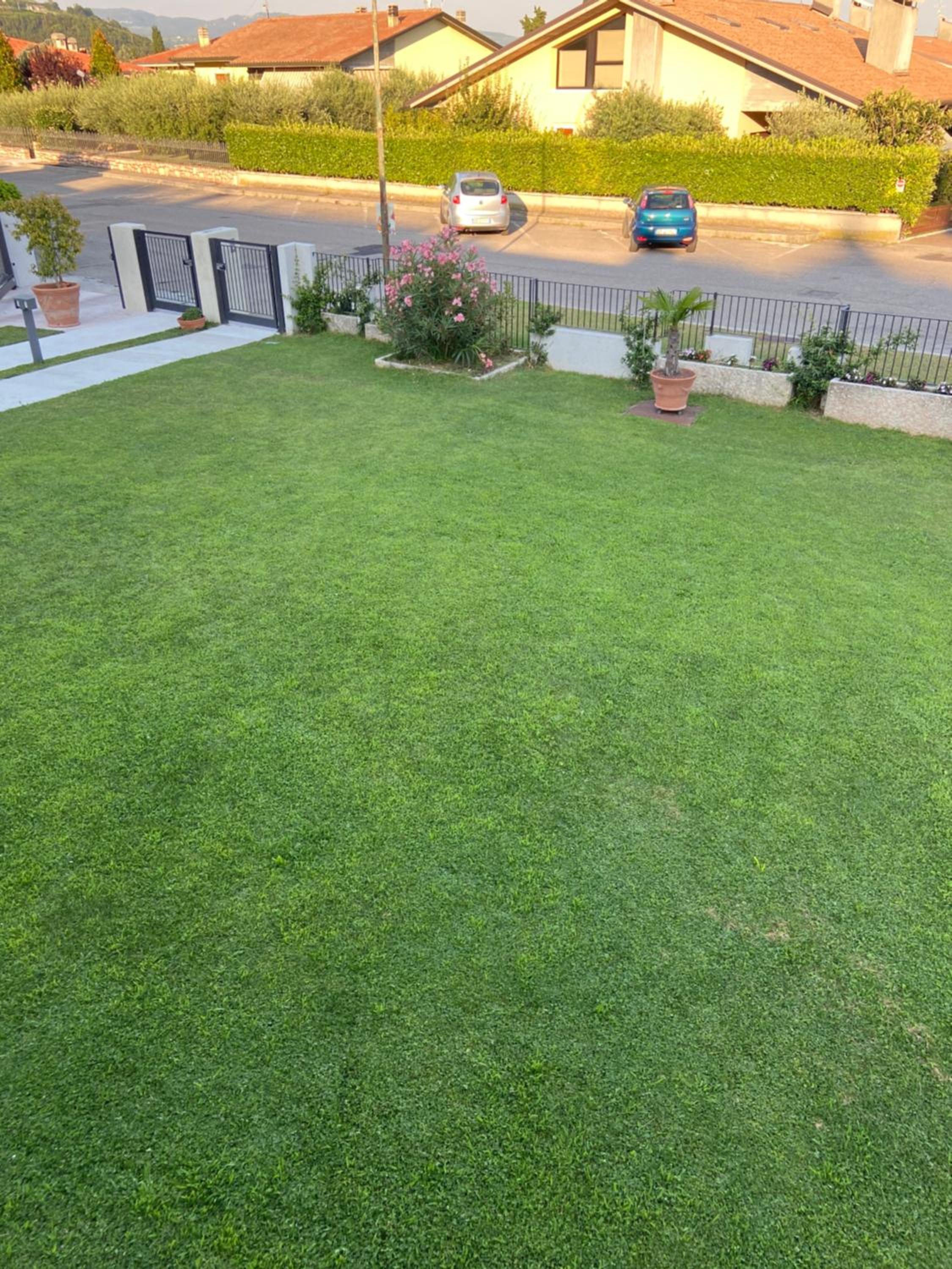 Photo 35