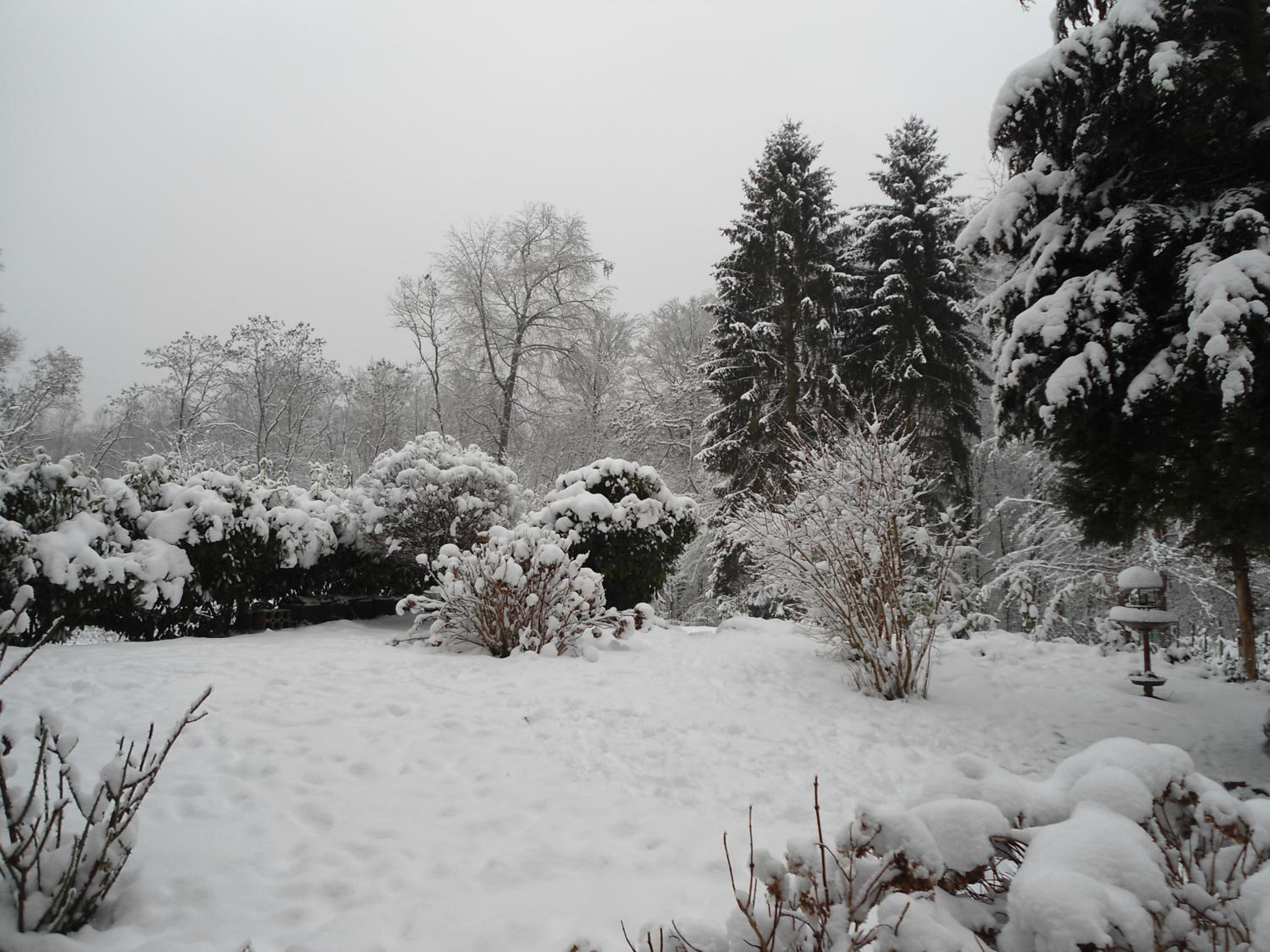 Fewo-Eichenkopf view 3