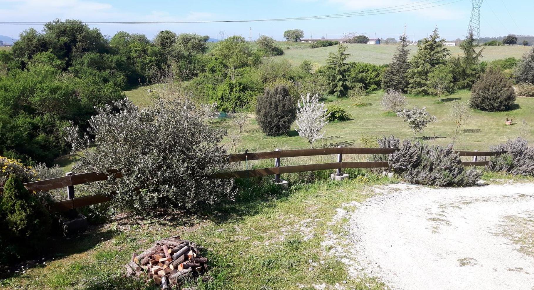 Confortevole monolocale in villa view 4
