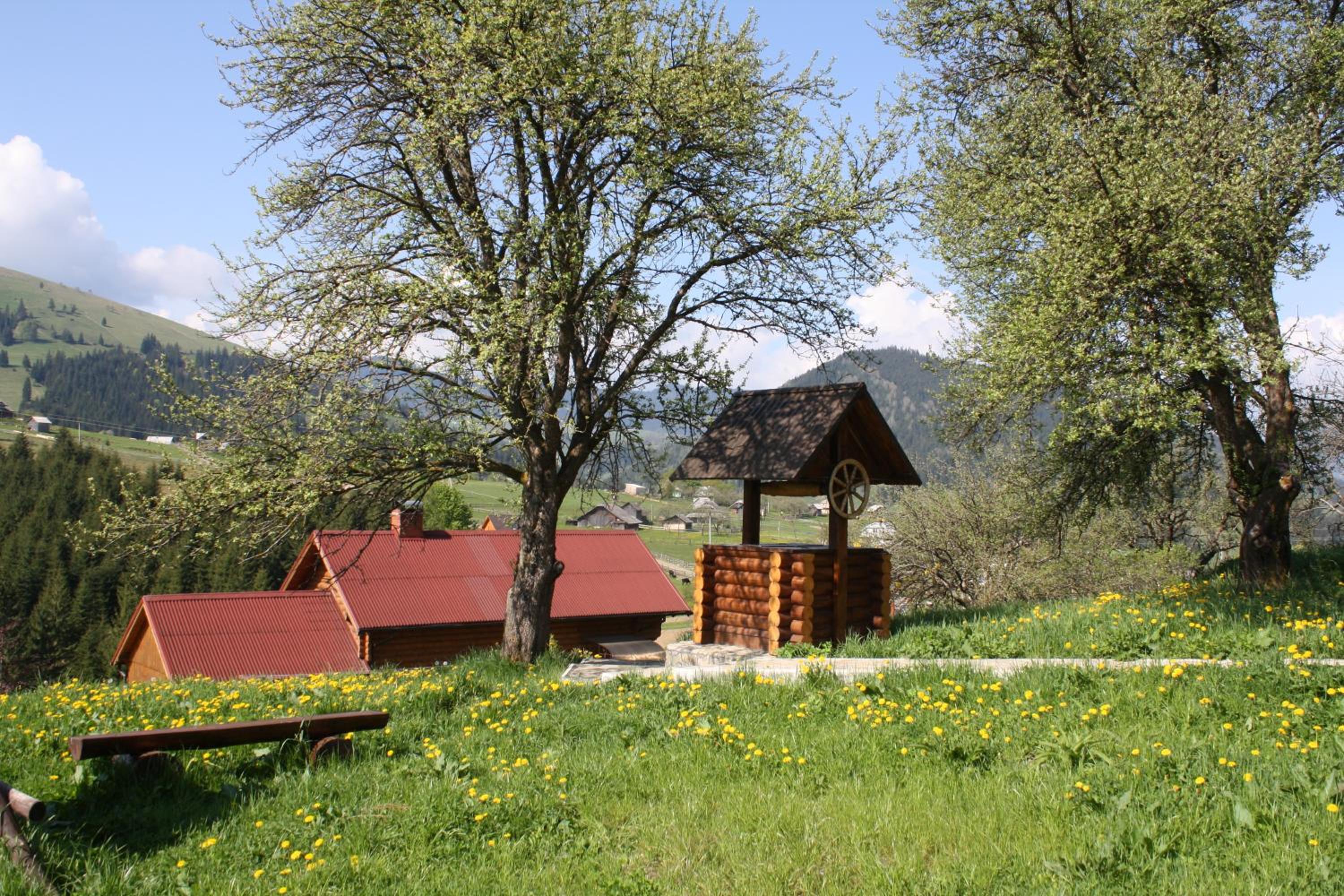 Polonyna view 2