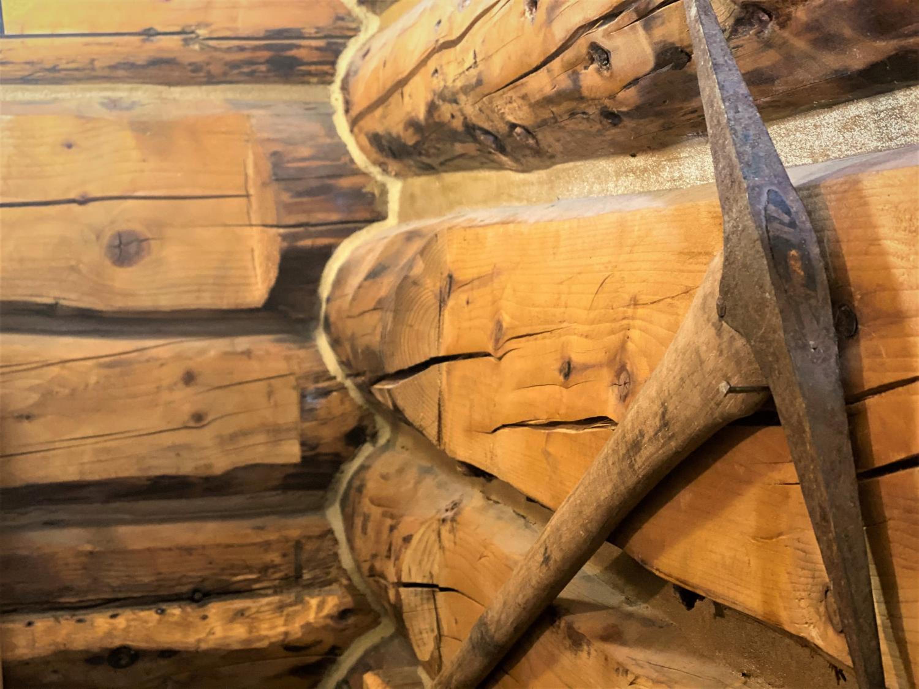 Alaska Creekside Cabins in Seward