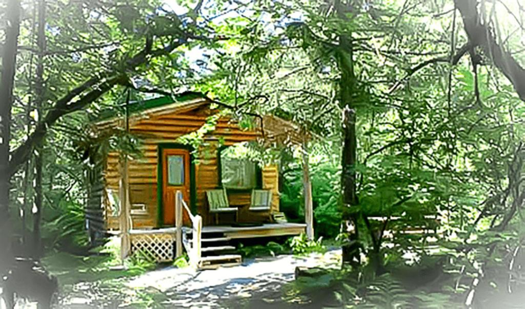 Alaska Creekside Cabins in Seward