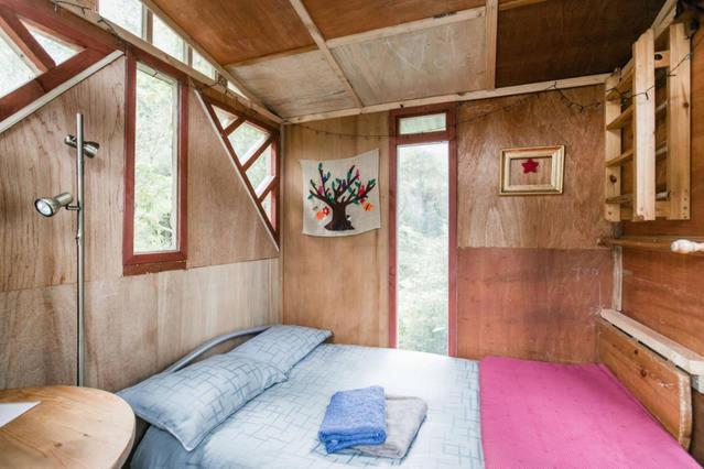 The Treehut at the Rabbithole, Upper Hutt view 5
