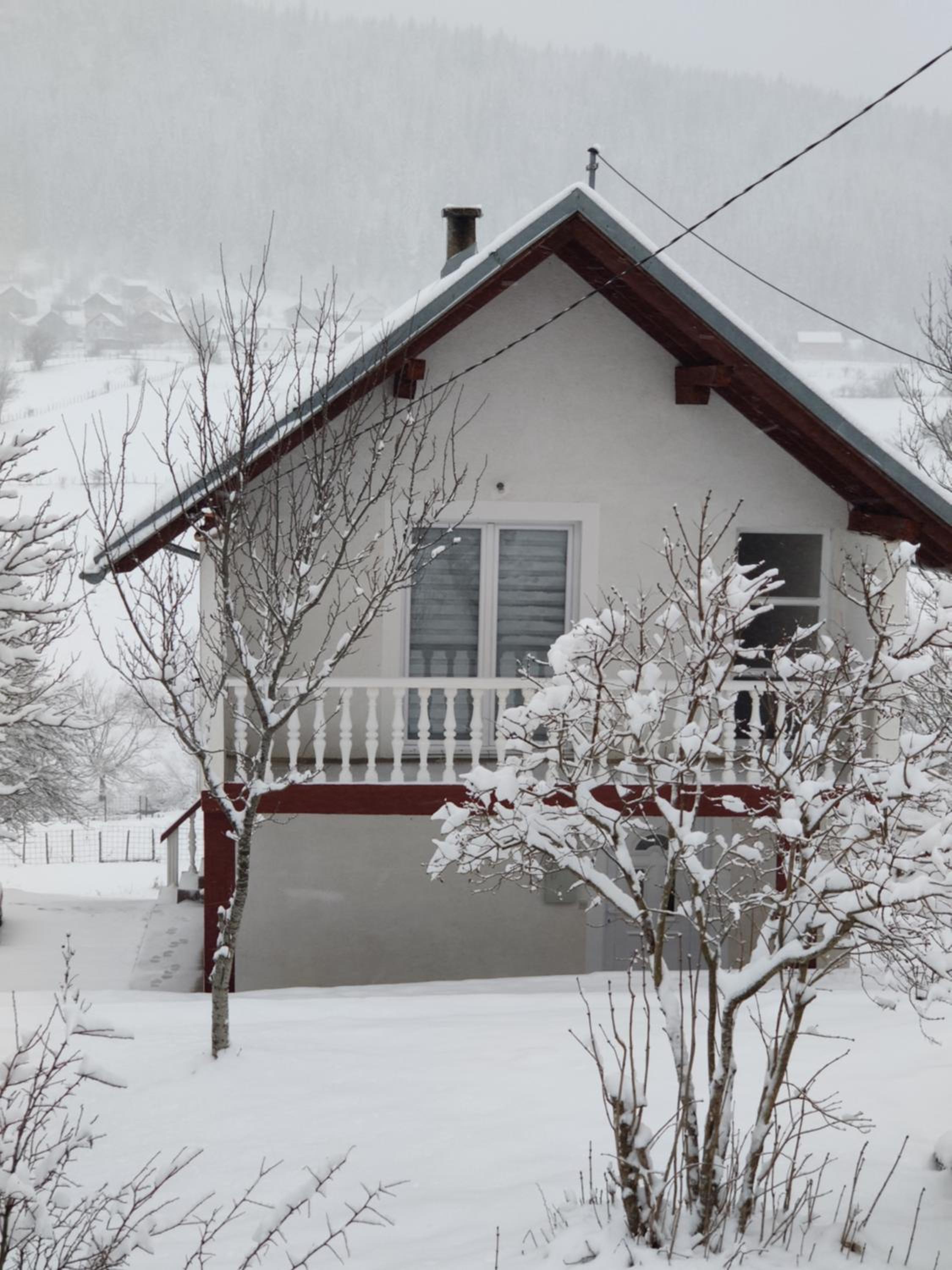 Vlasic holiday home
