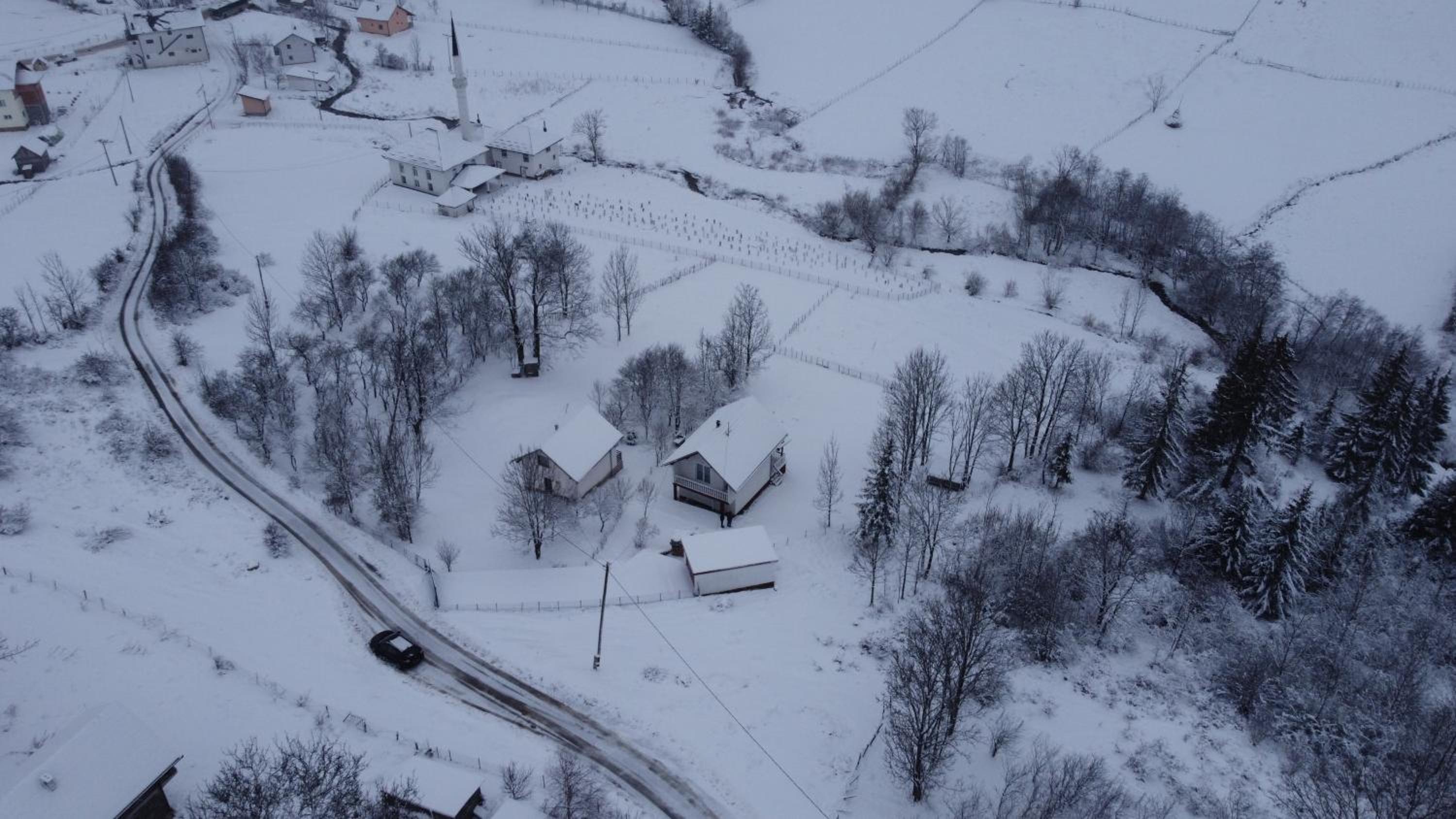 Vlasic holiday home