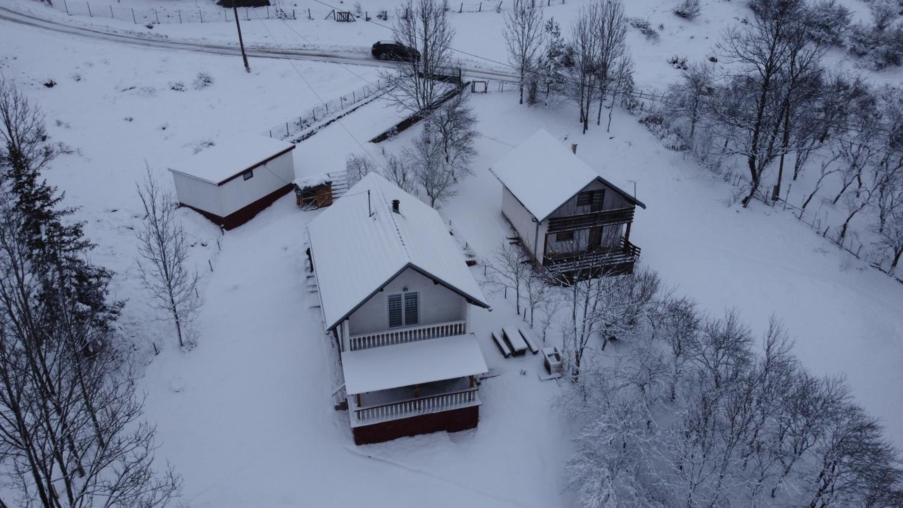 Vlasic holiday home