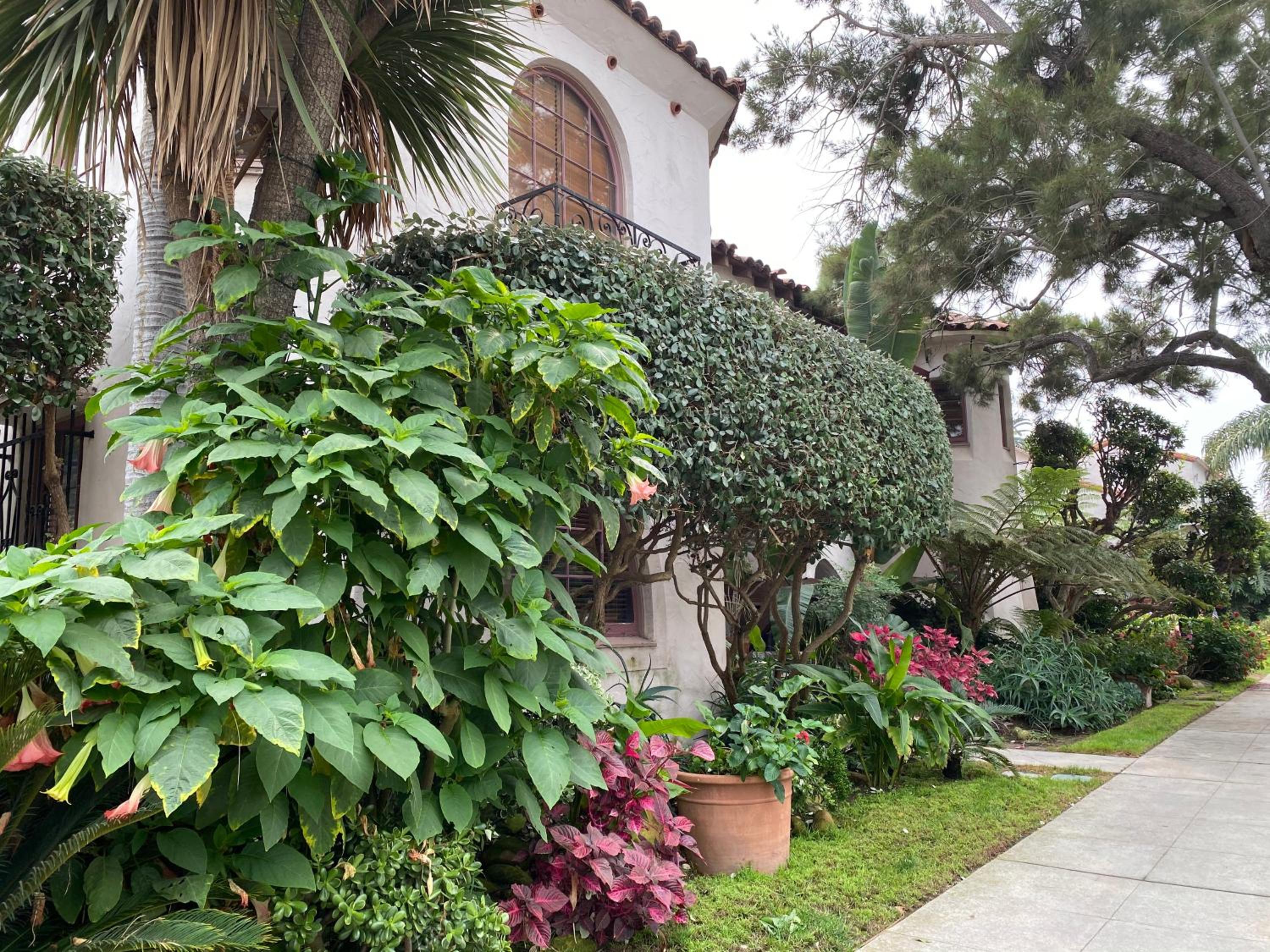 Hotel Villa Rosa Inn