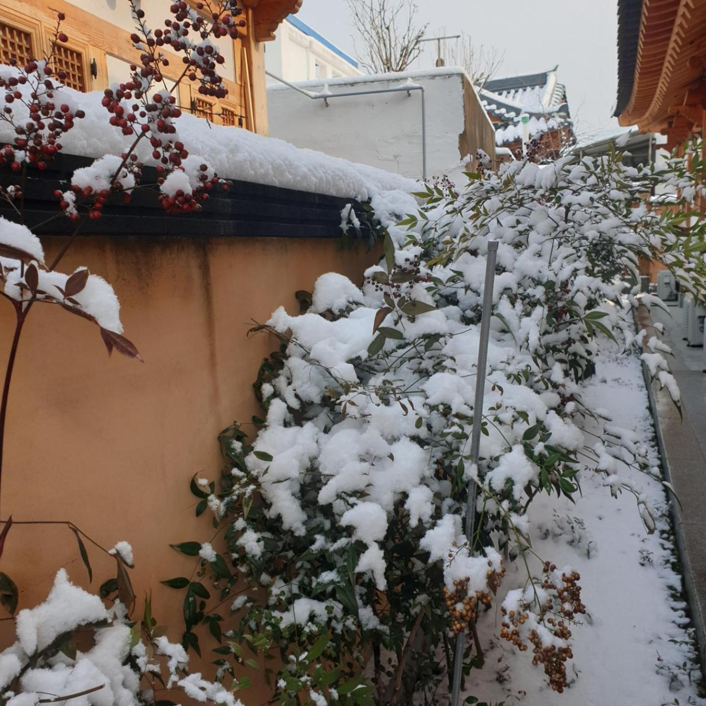 Hanok Hyeyum