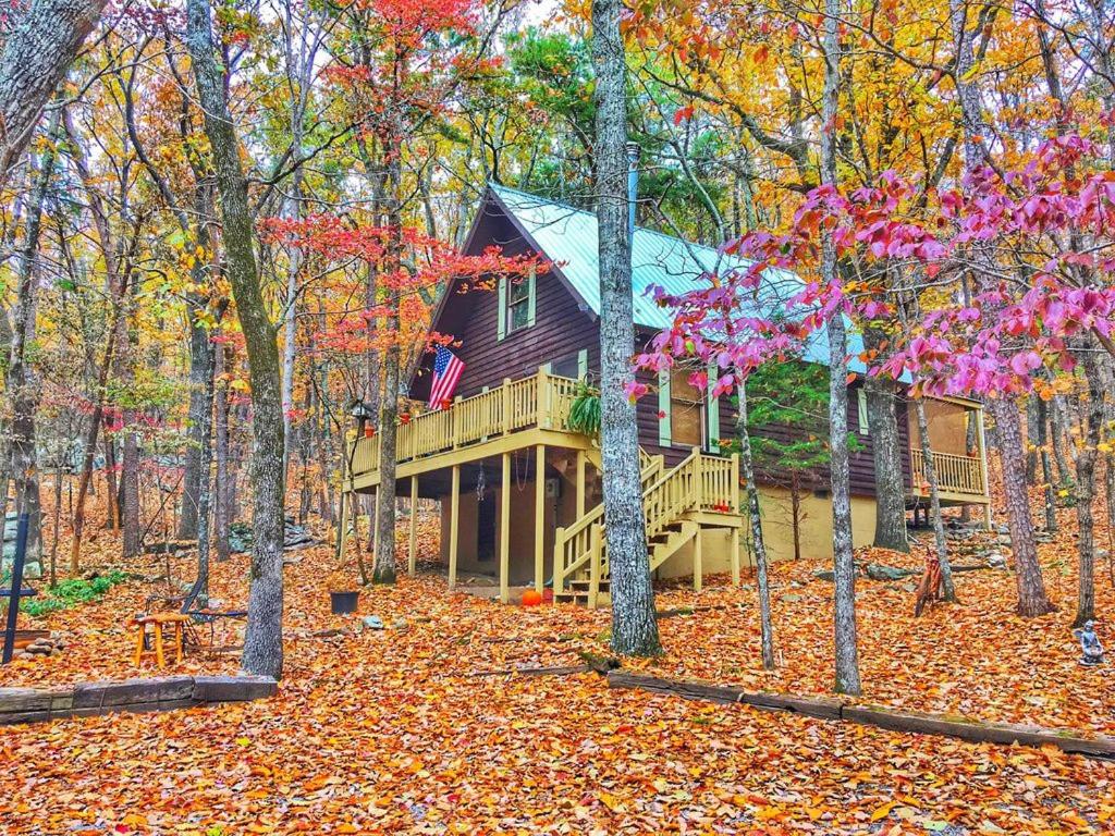 Birds Eye View Chalet view 2