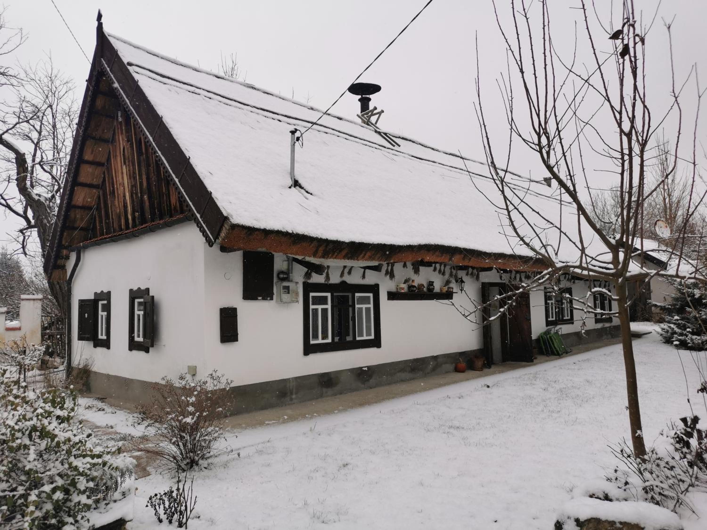 Forrás view 2