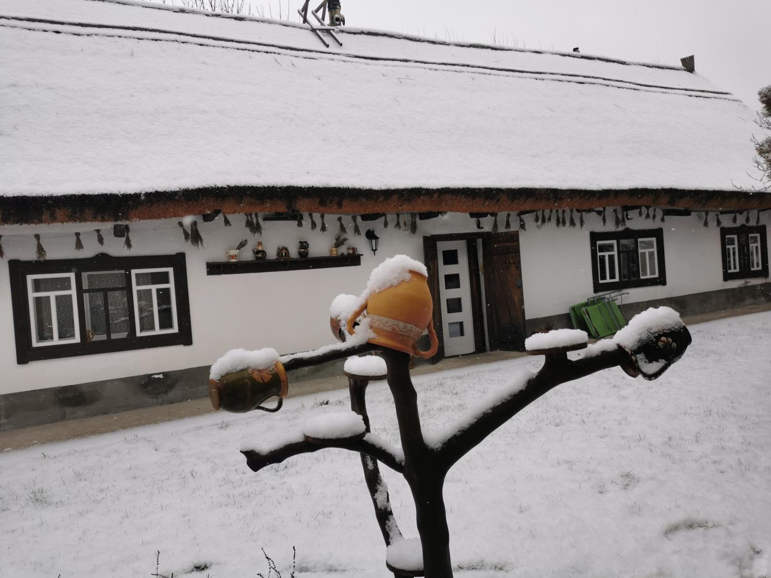 Forrás view 3