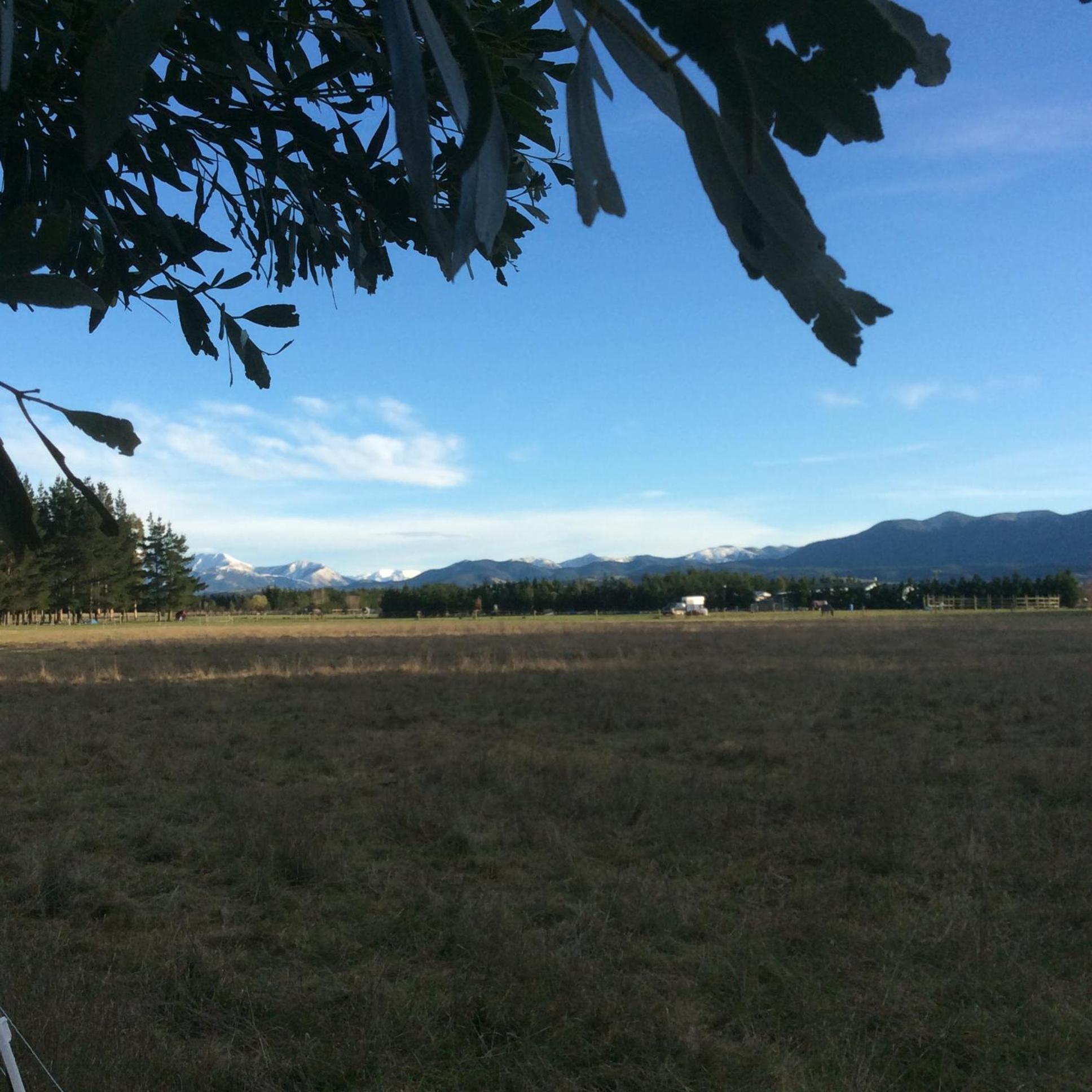 Photo 46