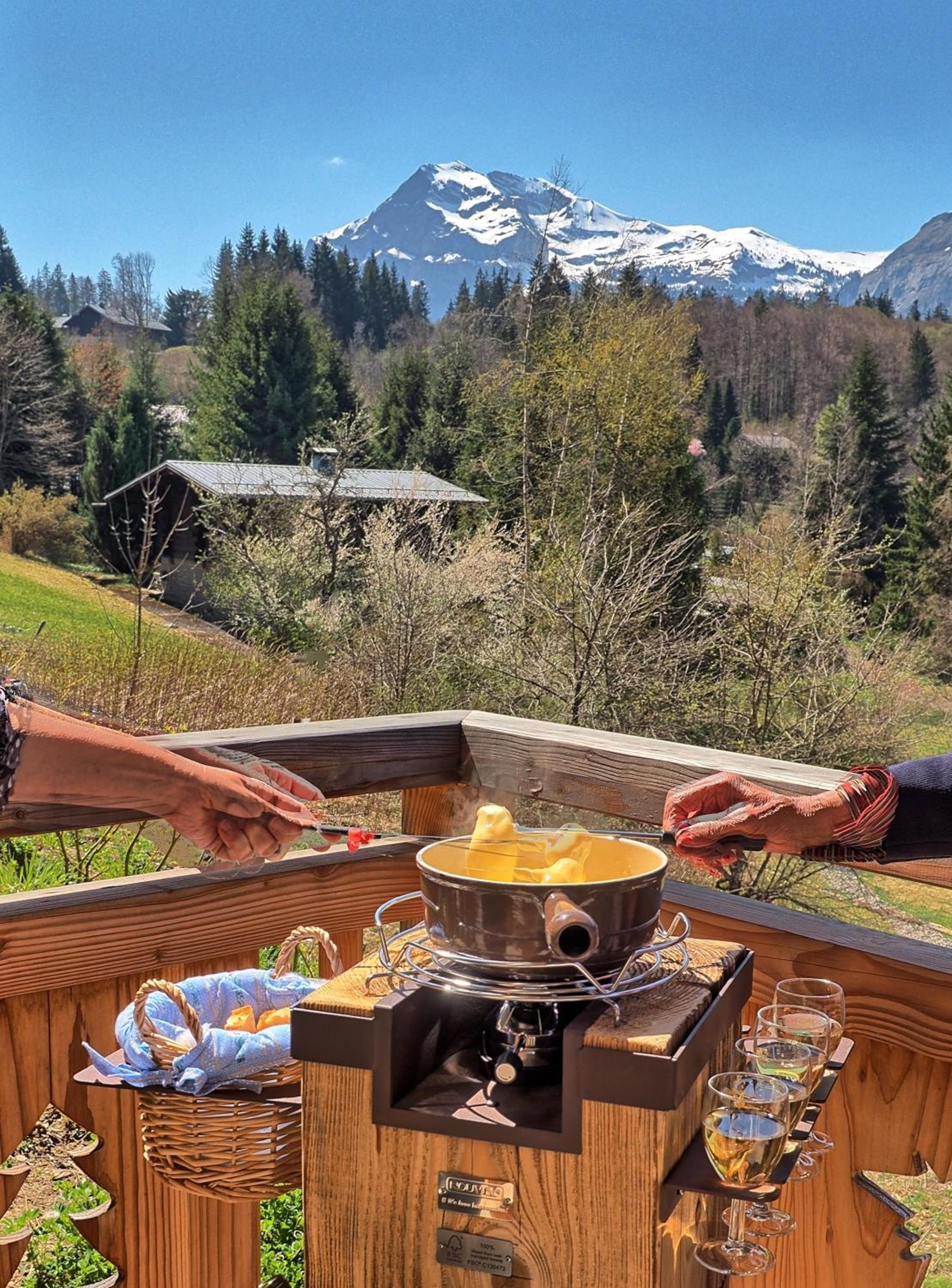 Chalet Arpitan - les Carroz - Grand Massif