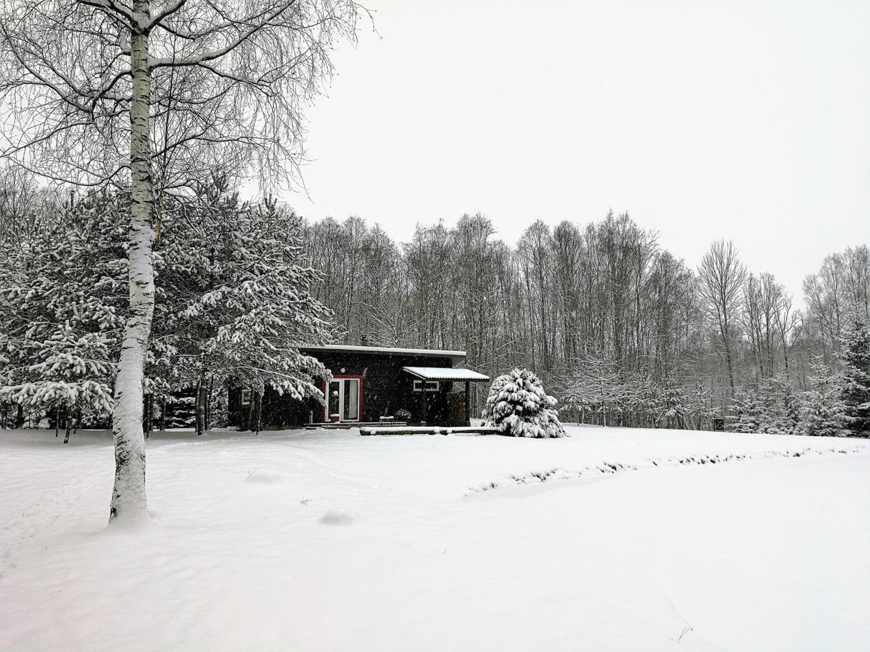Photo 43
