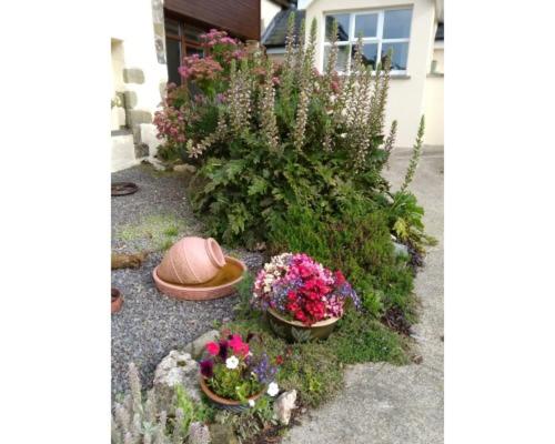 Photo 32