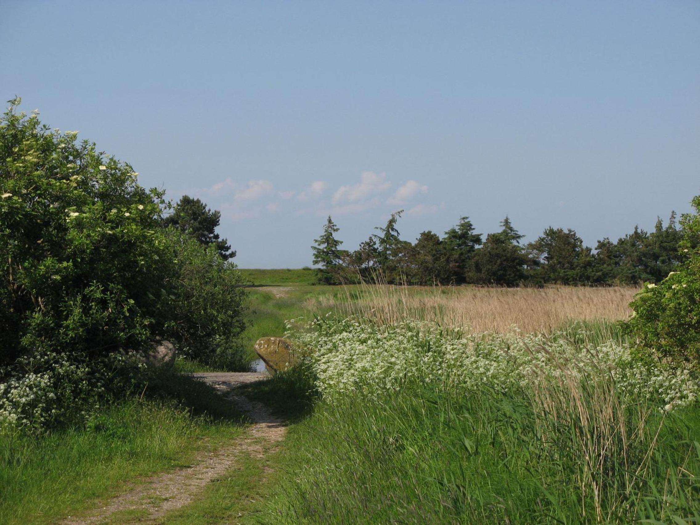 Urlaub bei Familie Lasch
