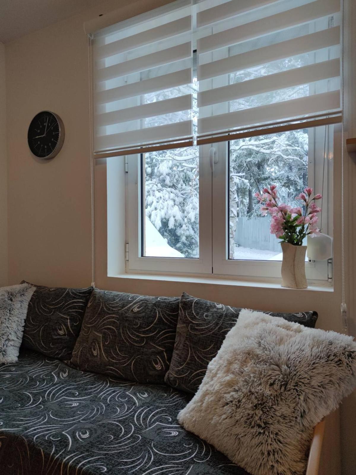 Apartman Paja view 4