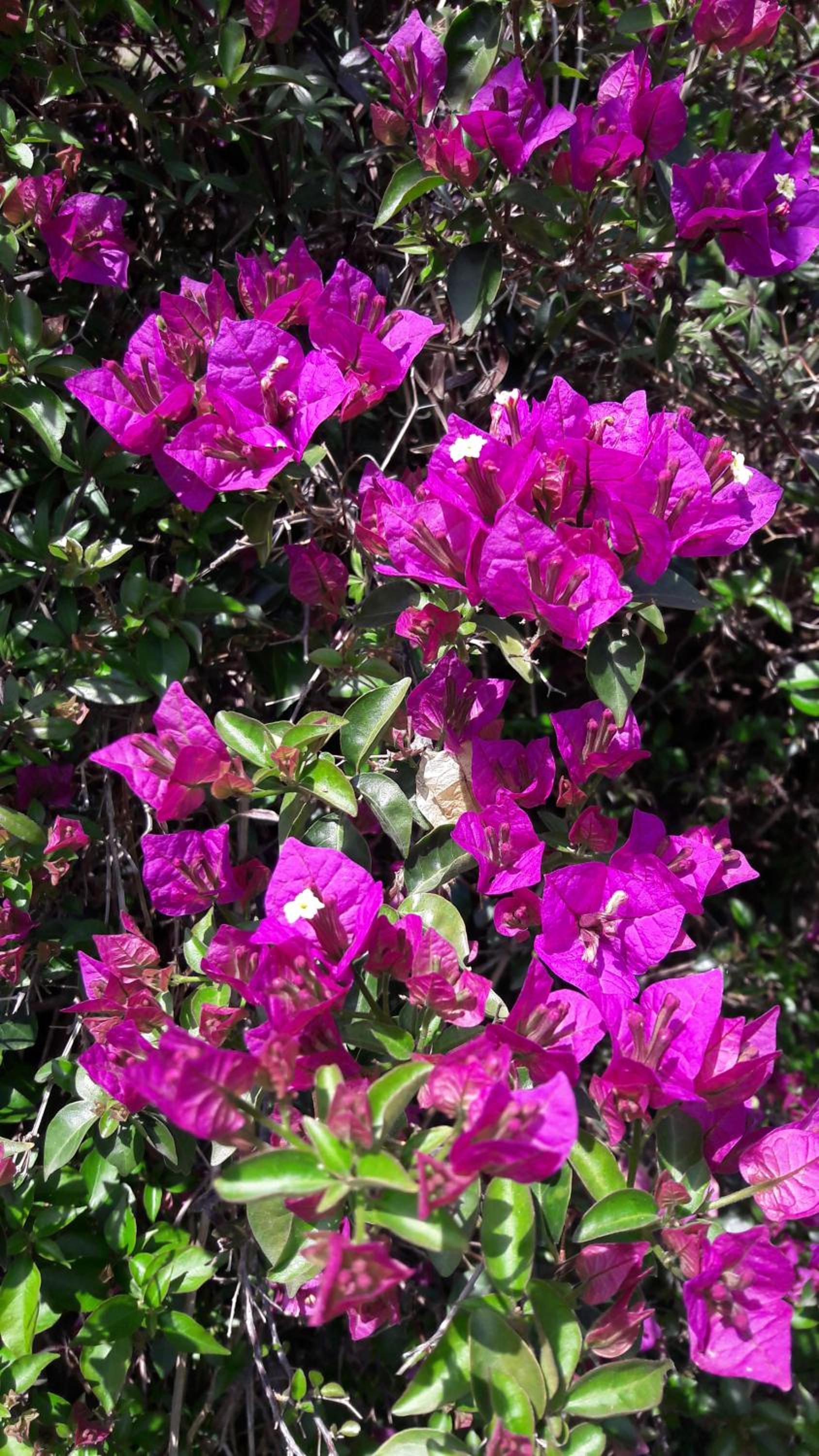 Photo 40