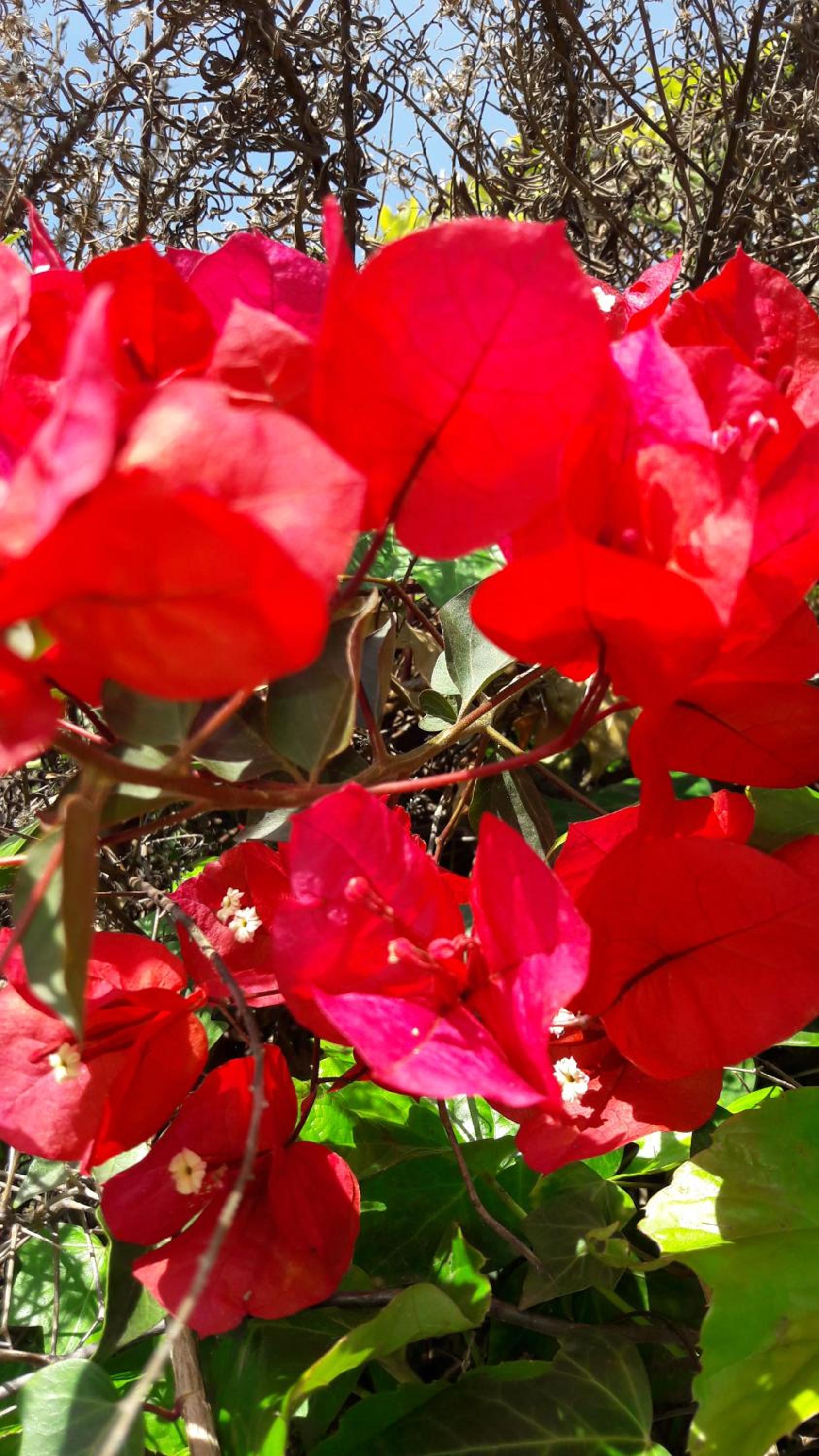 Photo 41