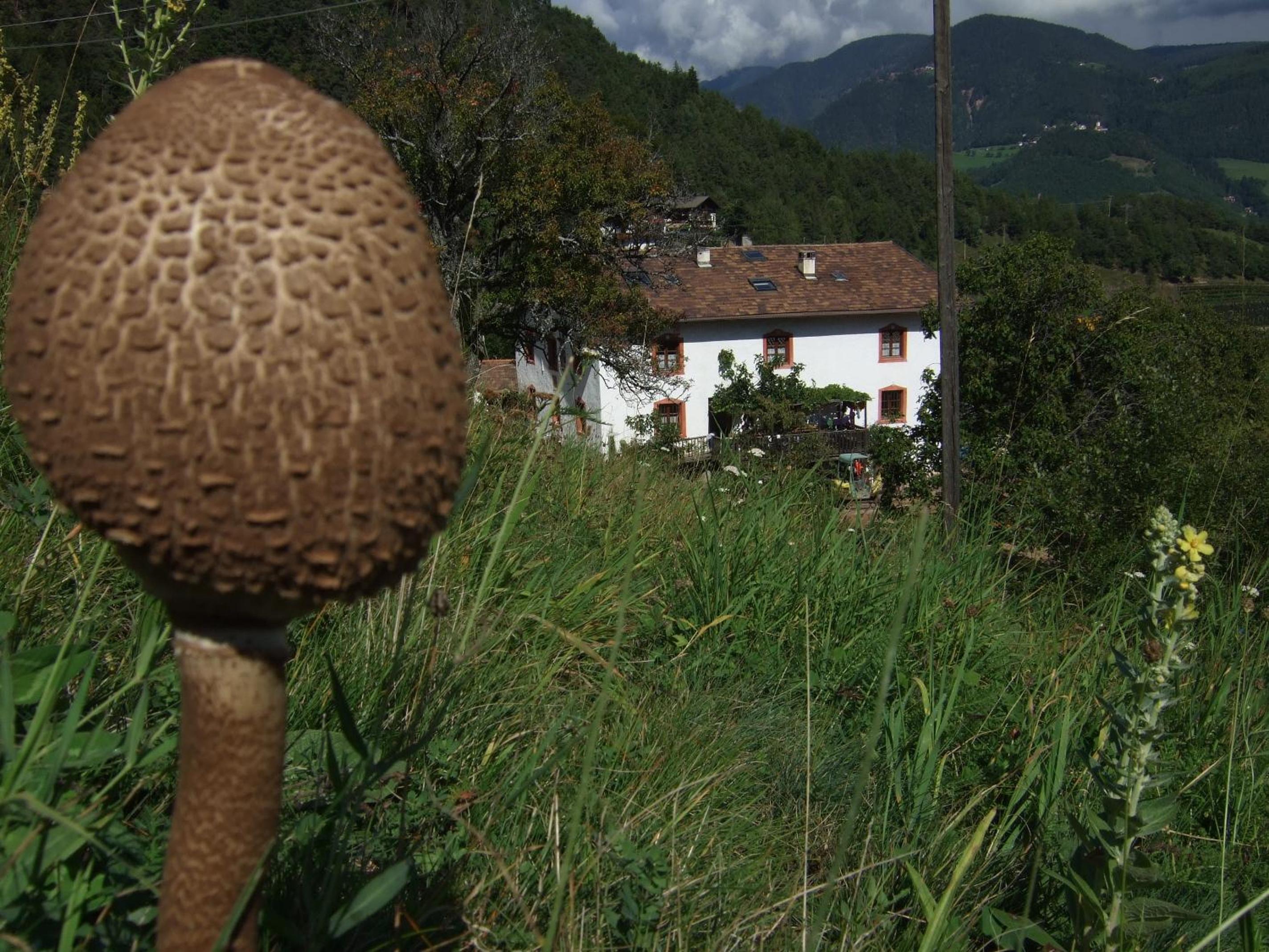 Gruberhof