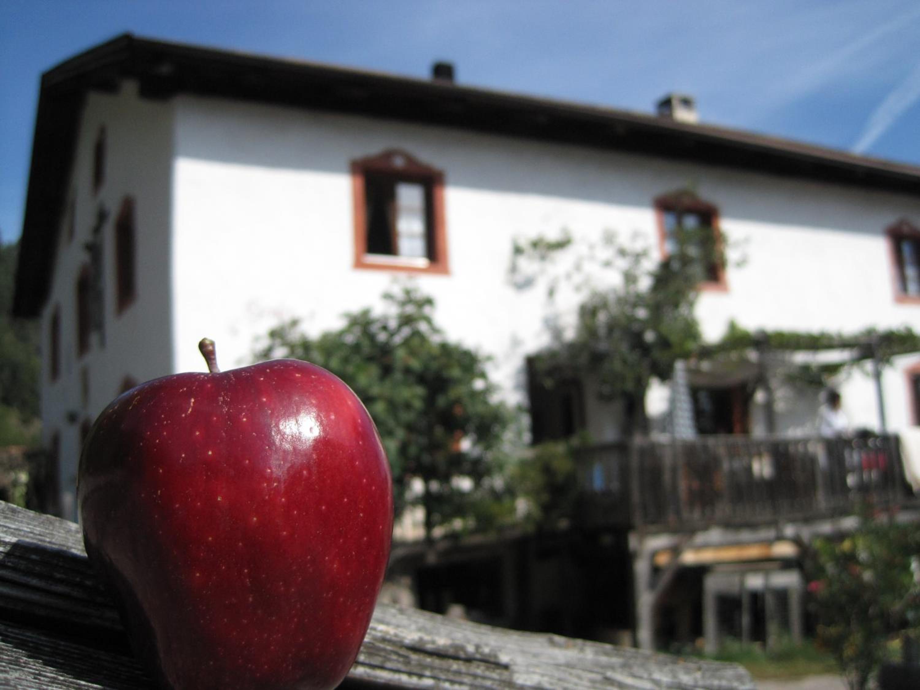 Gruberhof