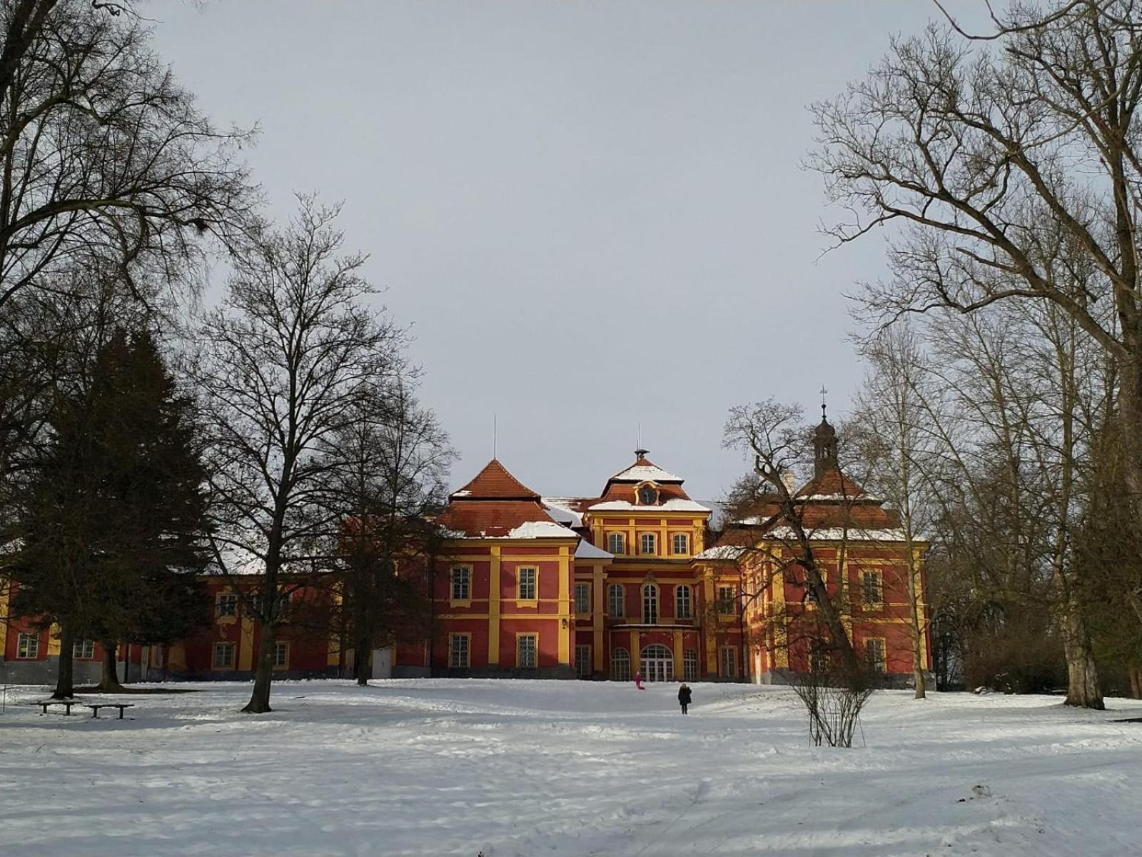 Photo 44