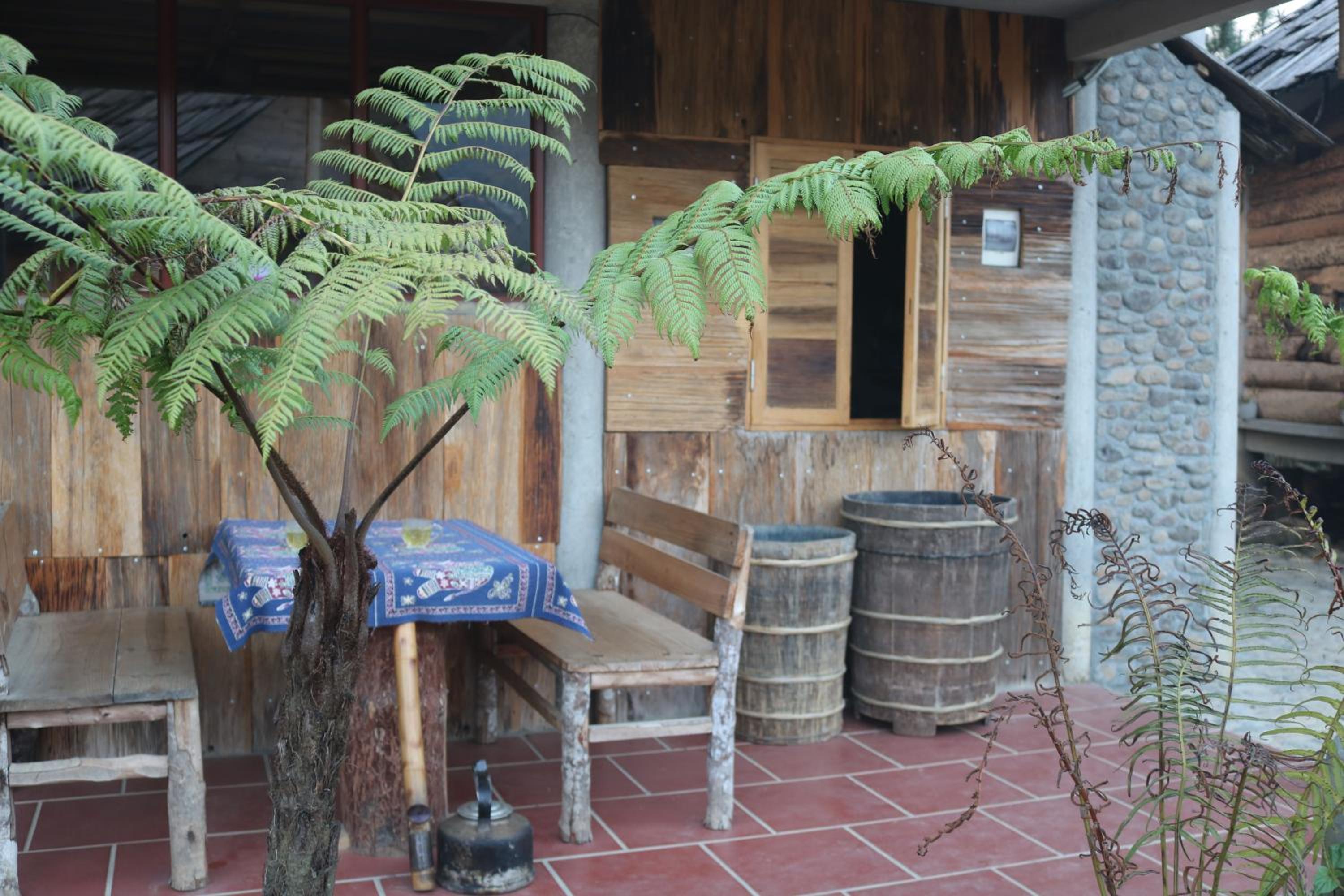 Photo 20