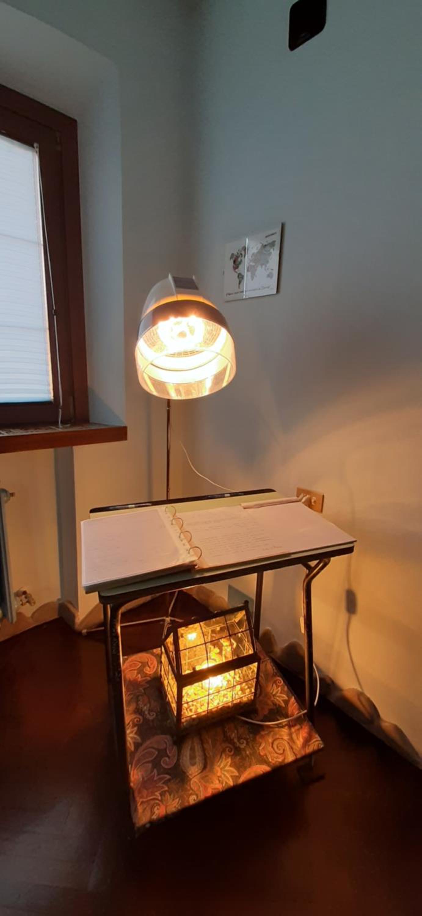 Photo 13