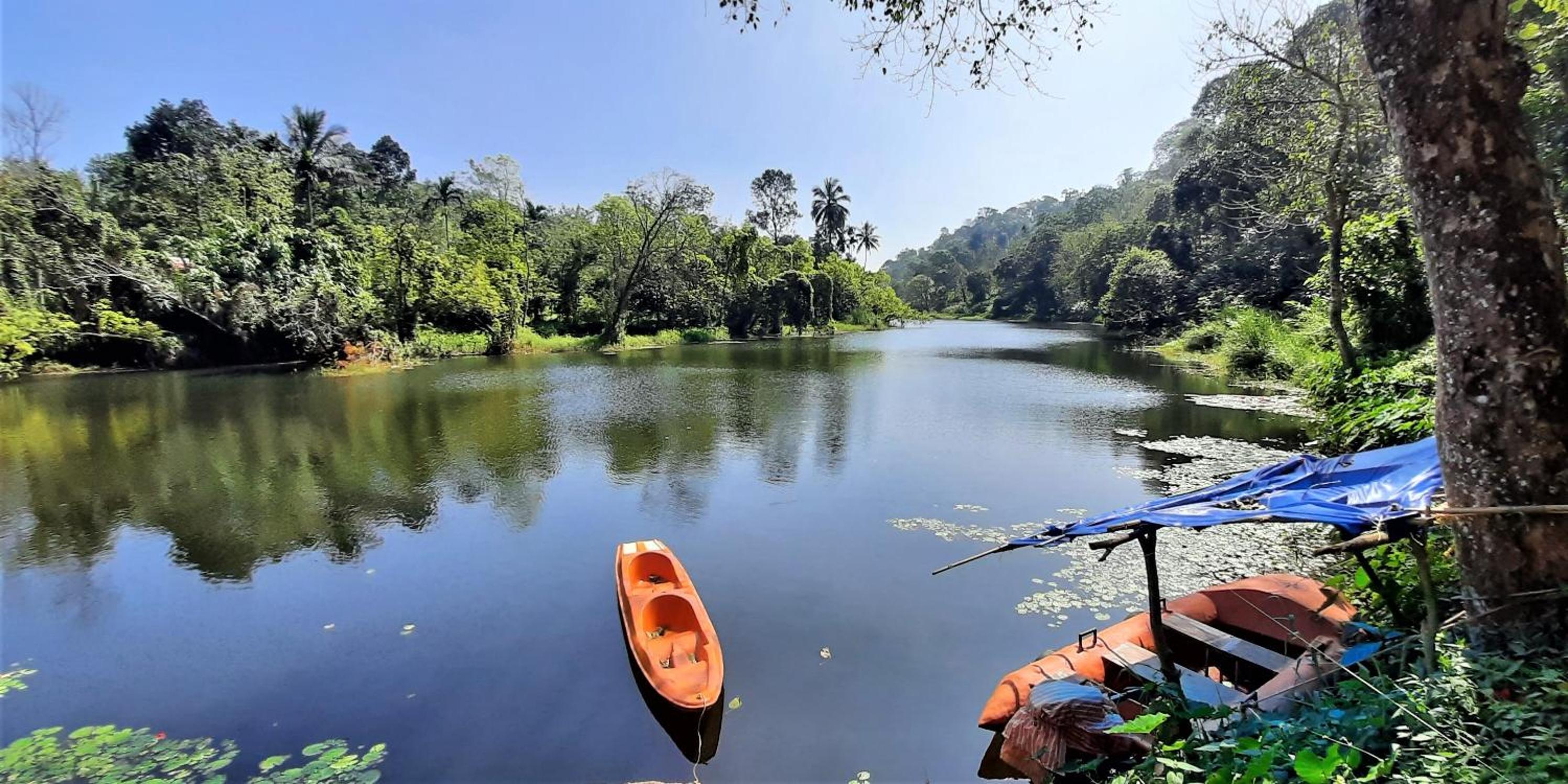 Photo 44