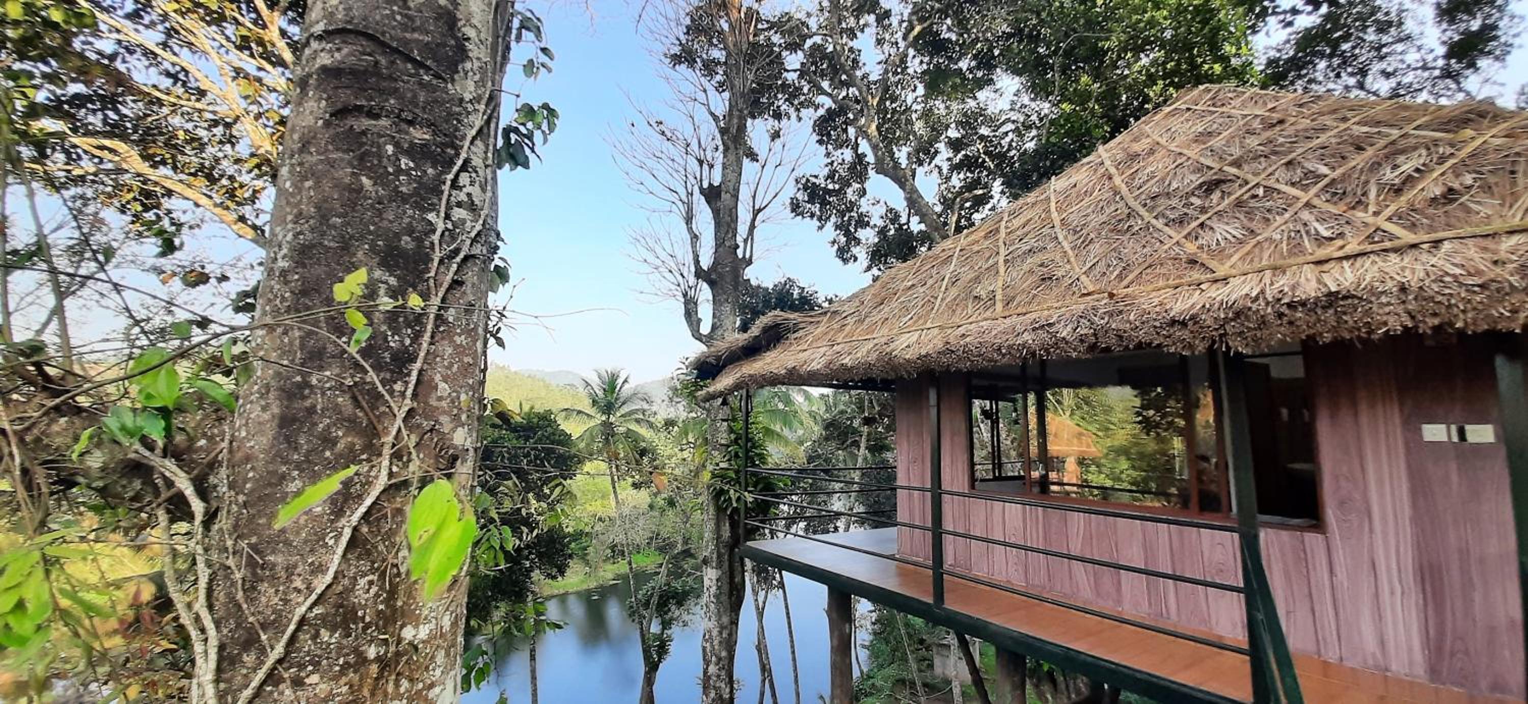 Noah's Nest Tree House view 4