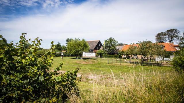 Photo 41